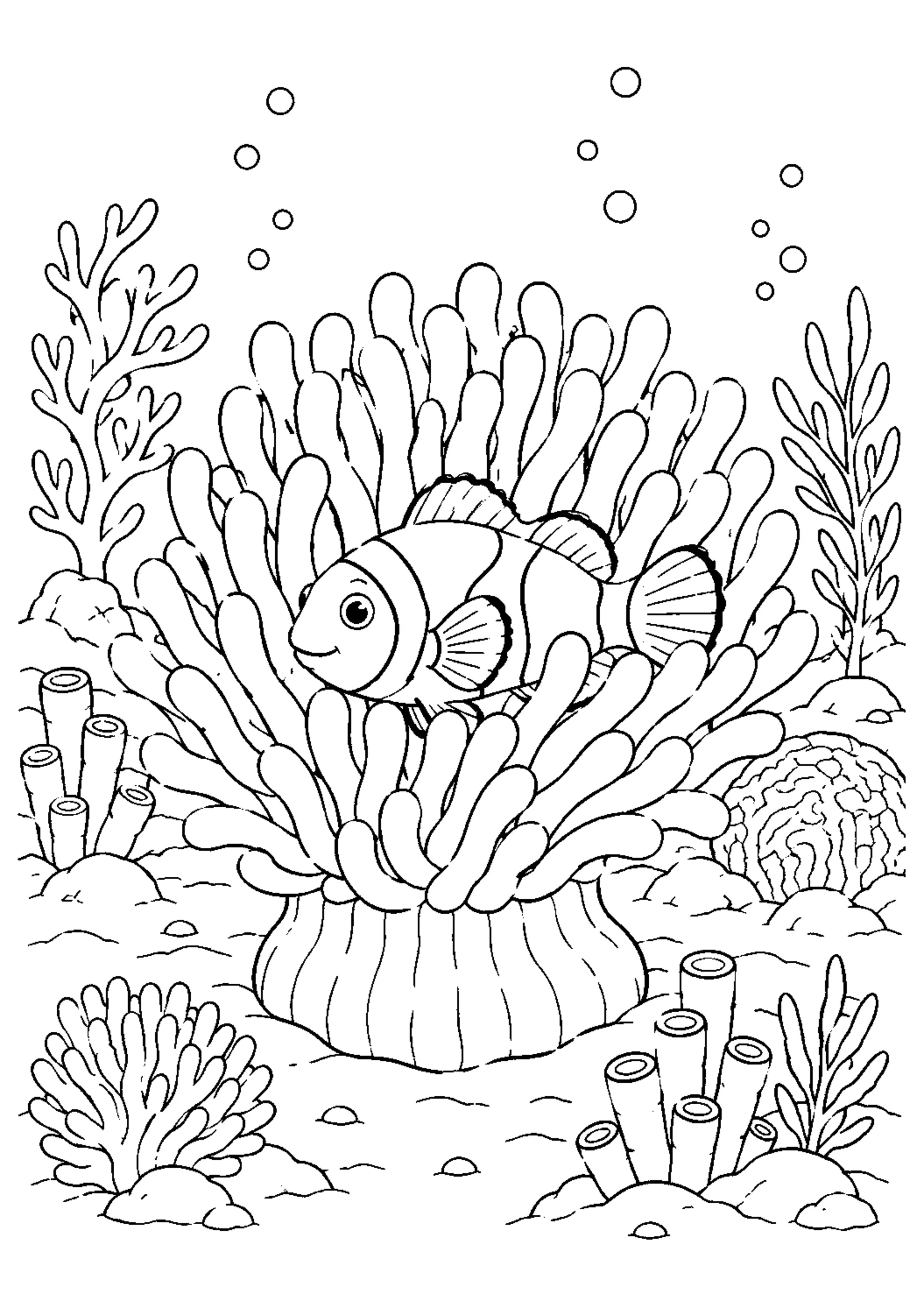 Coloriage Récif corallien à imprimer – dessin n°1