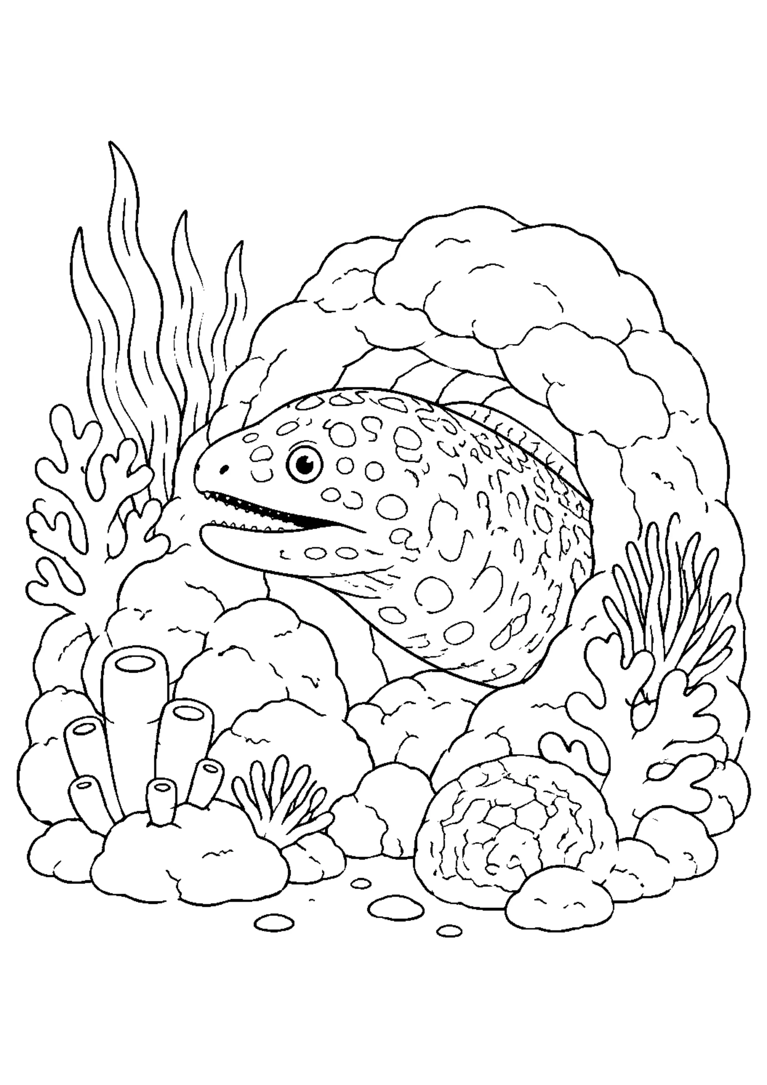 Coloriage Récif corallien à imprimer – dessin n°8