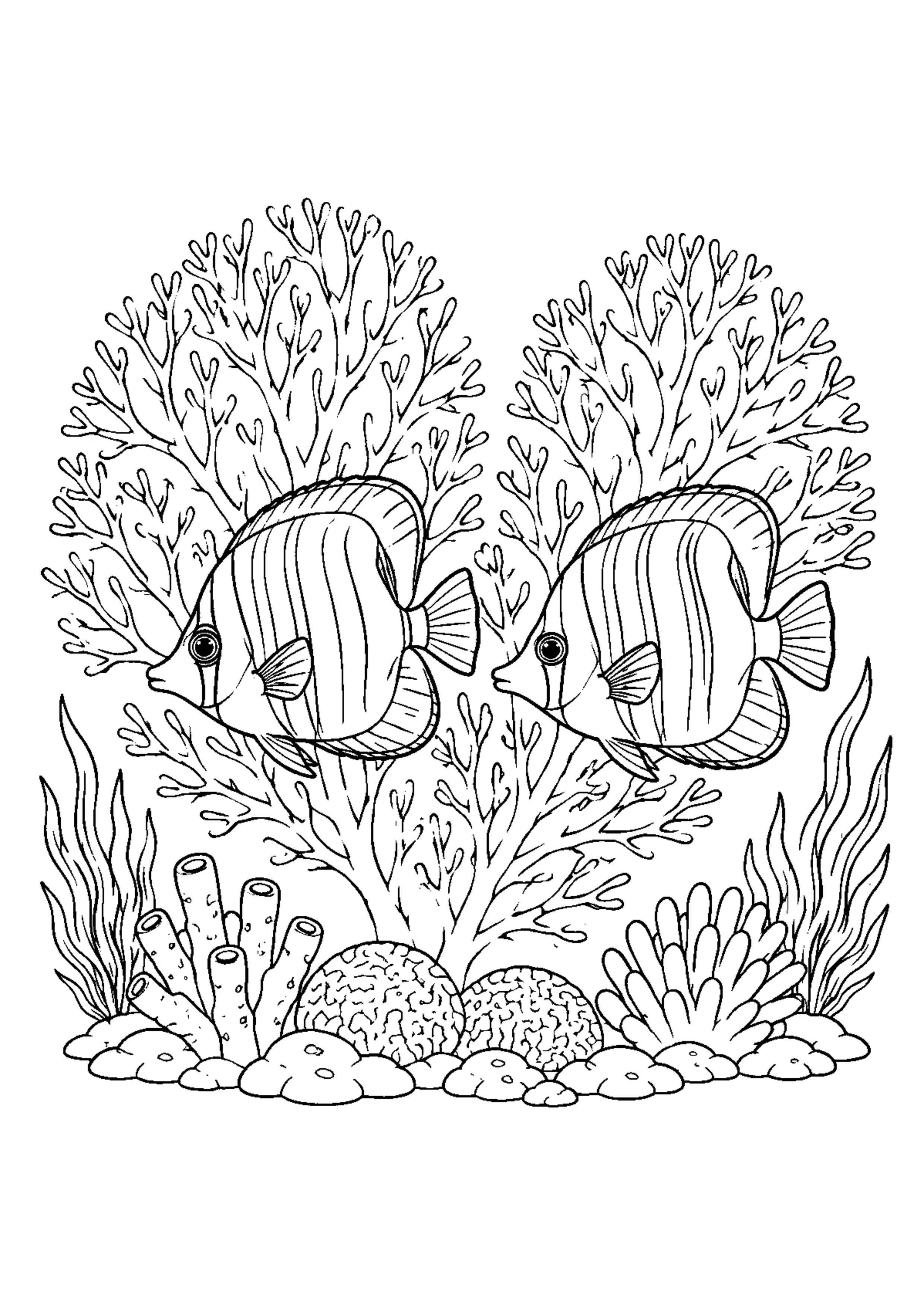 Coloriage Récif corallien à imprimer – dessin n°9