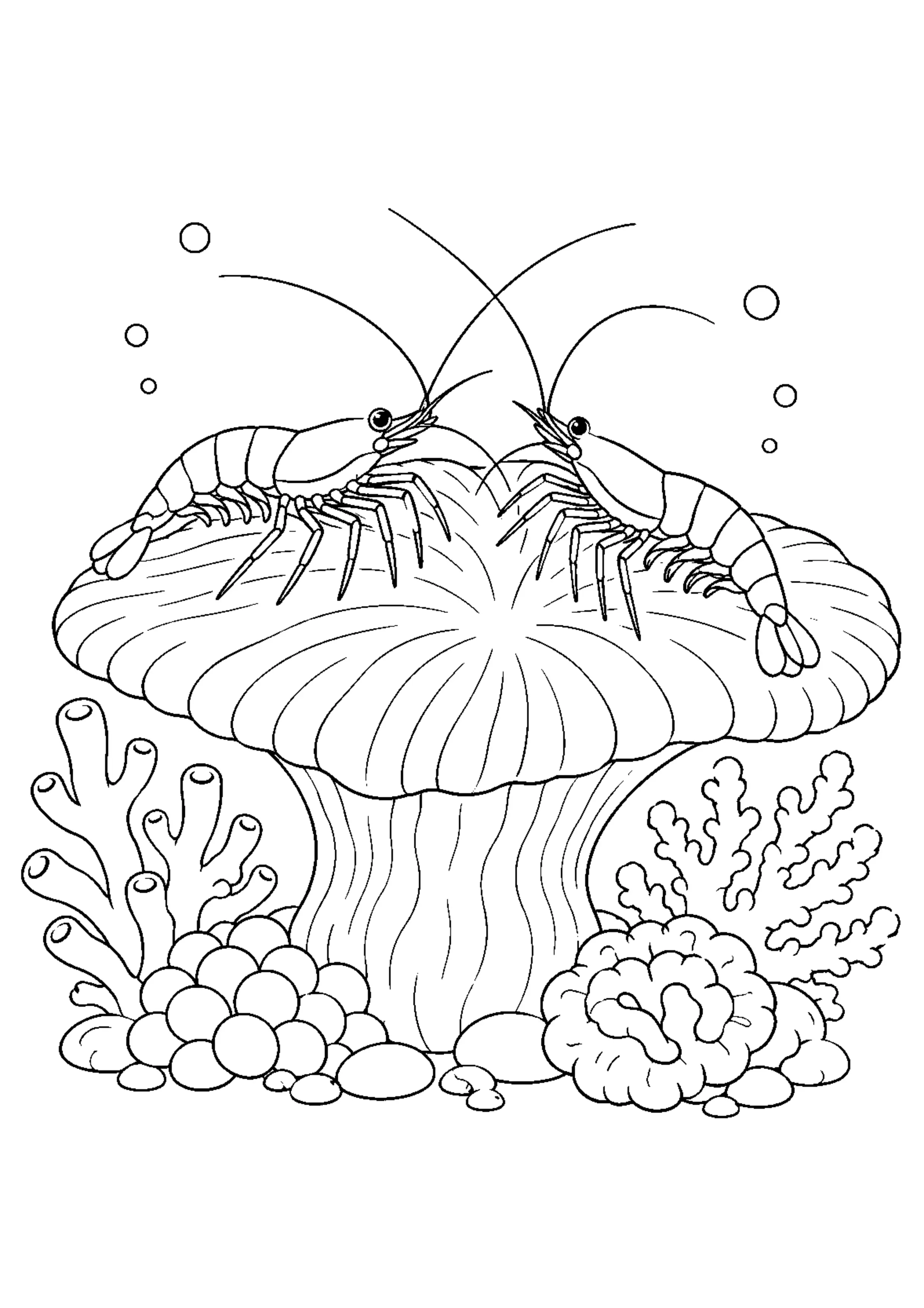 Coloriage Récif corallien à imprimer – dessin n°14