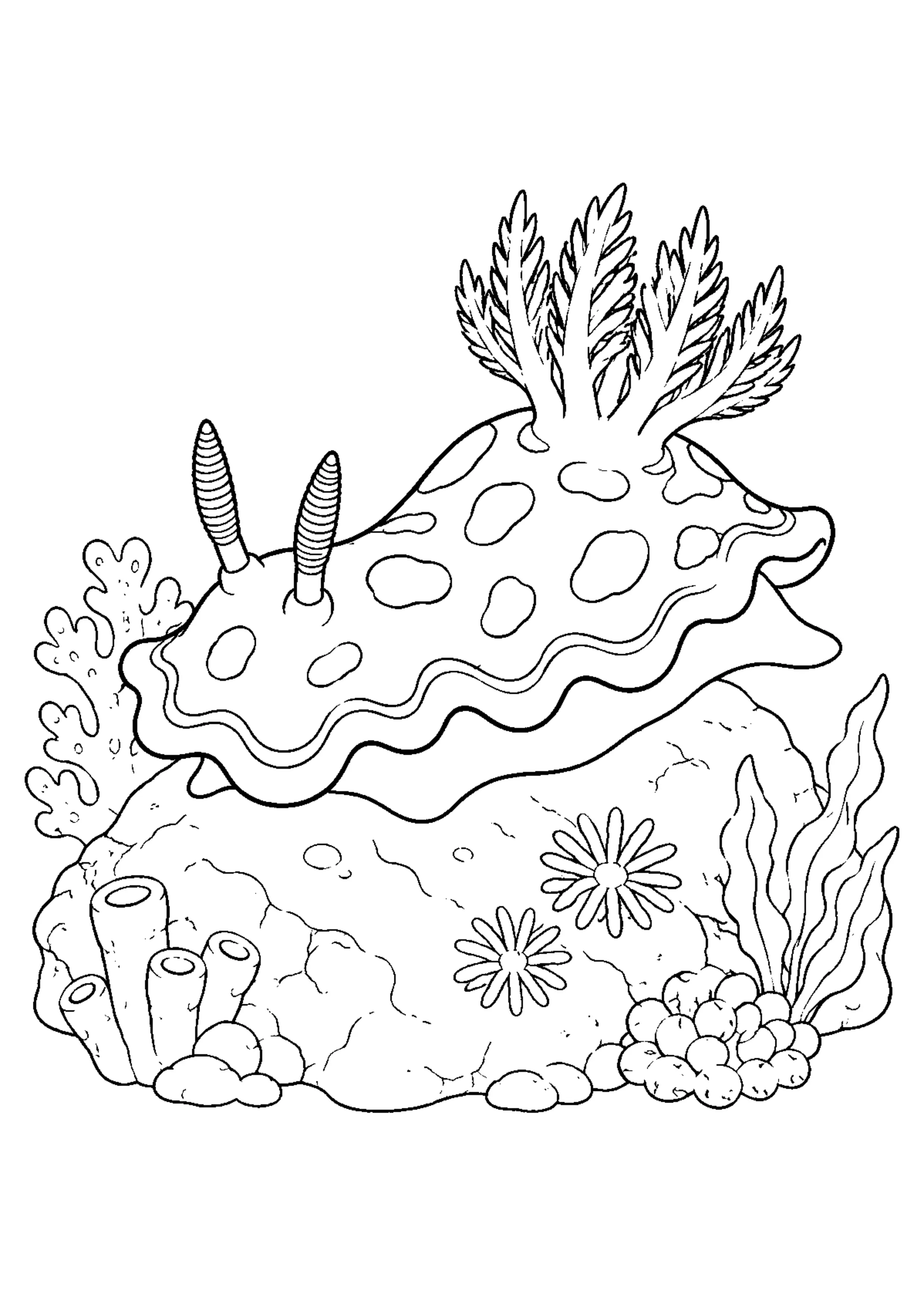 Coloriage Récif corallien à imprimer – dessin n°16