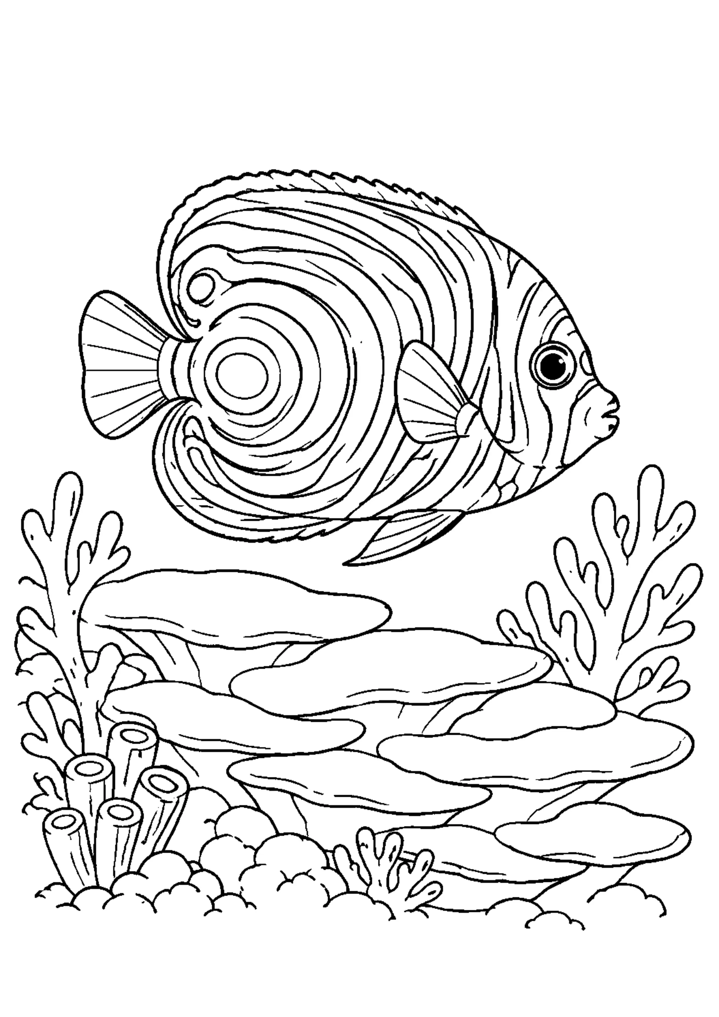 Coloriage Récif corallien à imprimer – dessin n°17