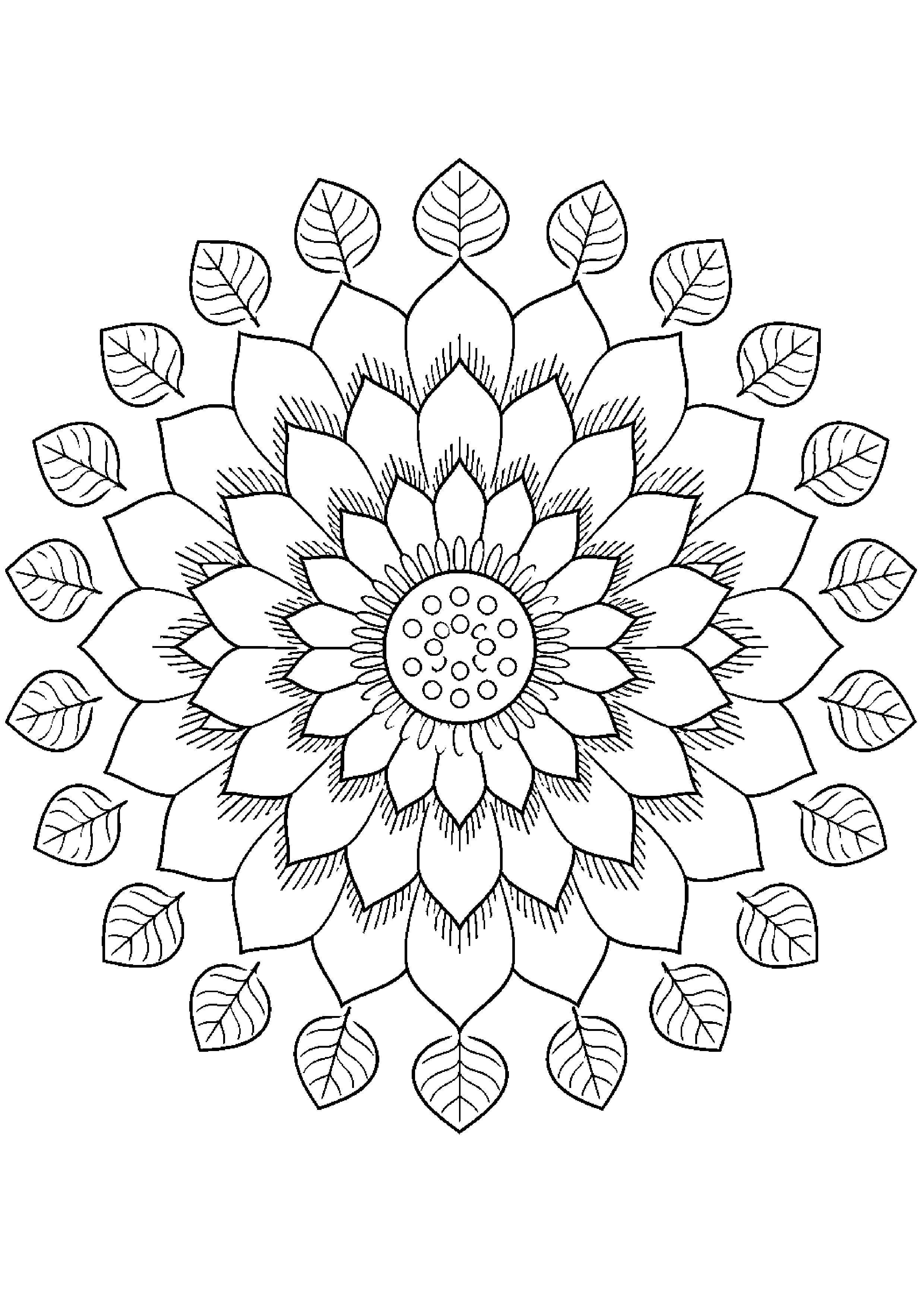 Coloriage rosace à imprimer – dessin n°13