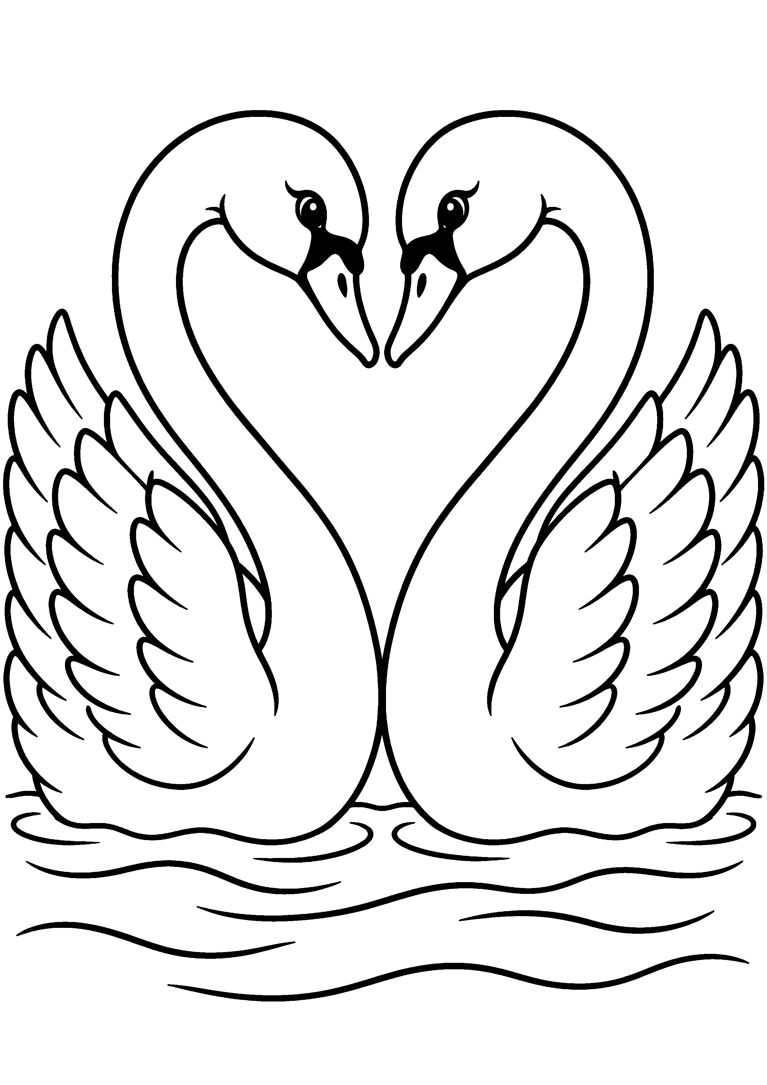 Deux grands cygnes dont les cous dessinent un cœur à colorier
