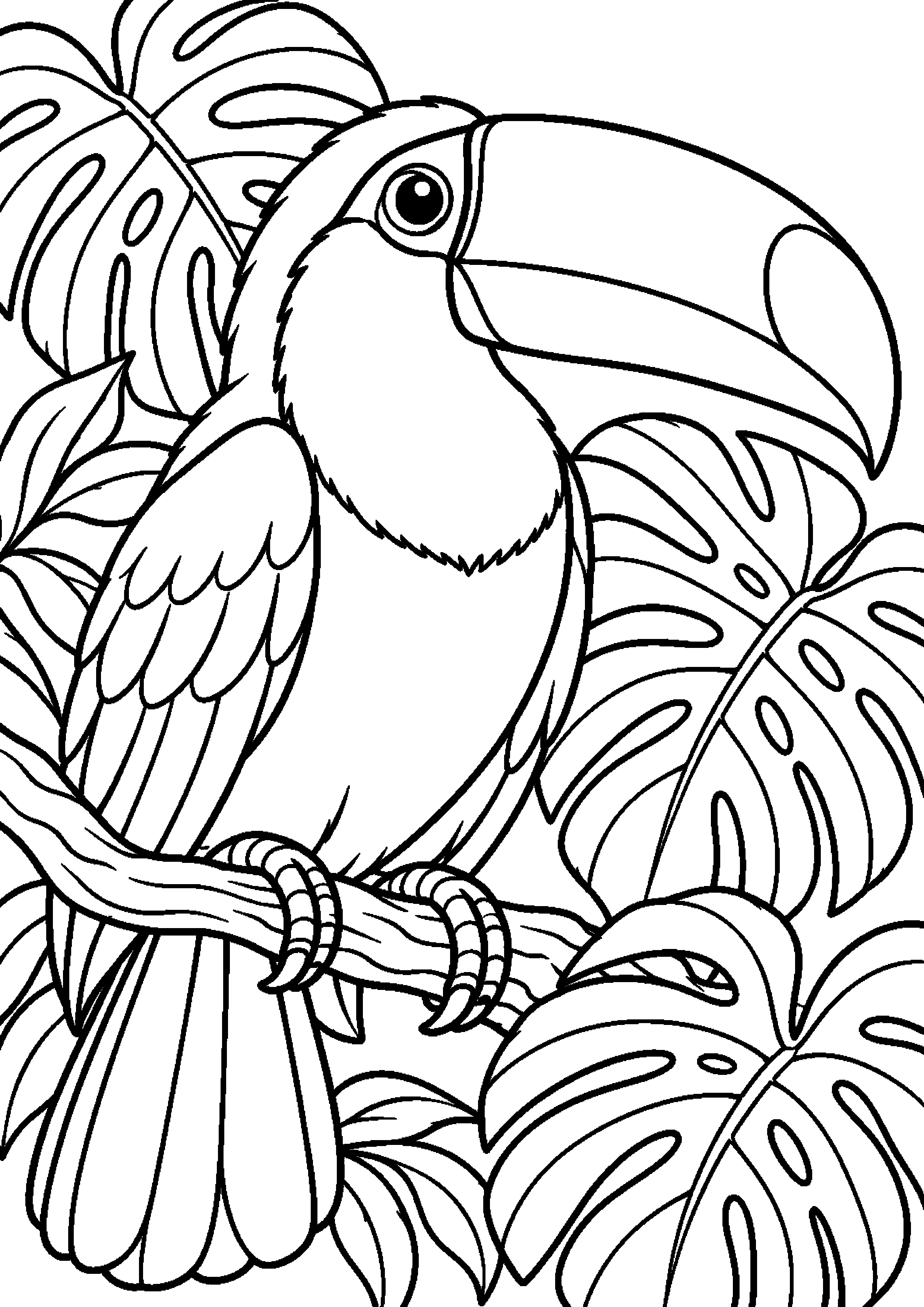 Grand coloriage d’un toucan les ailes ouvertes prêt à s’envoler, contours noirs nets sur fond blanc