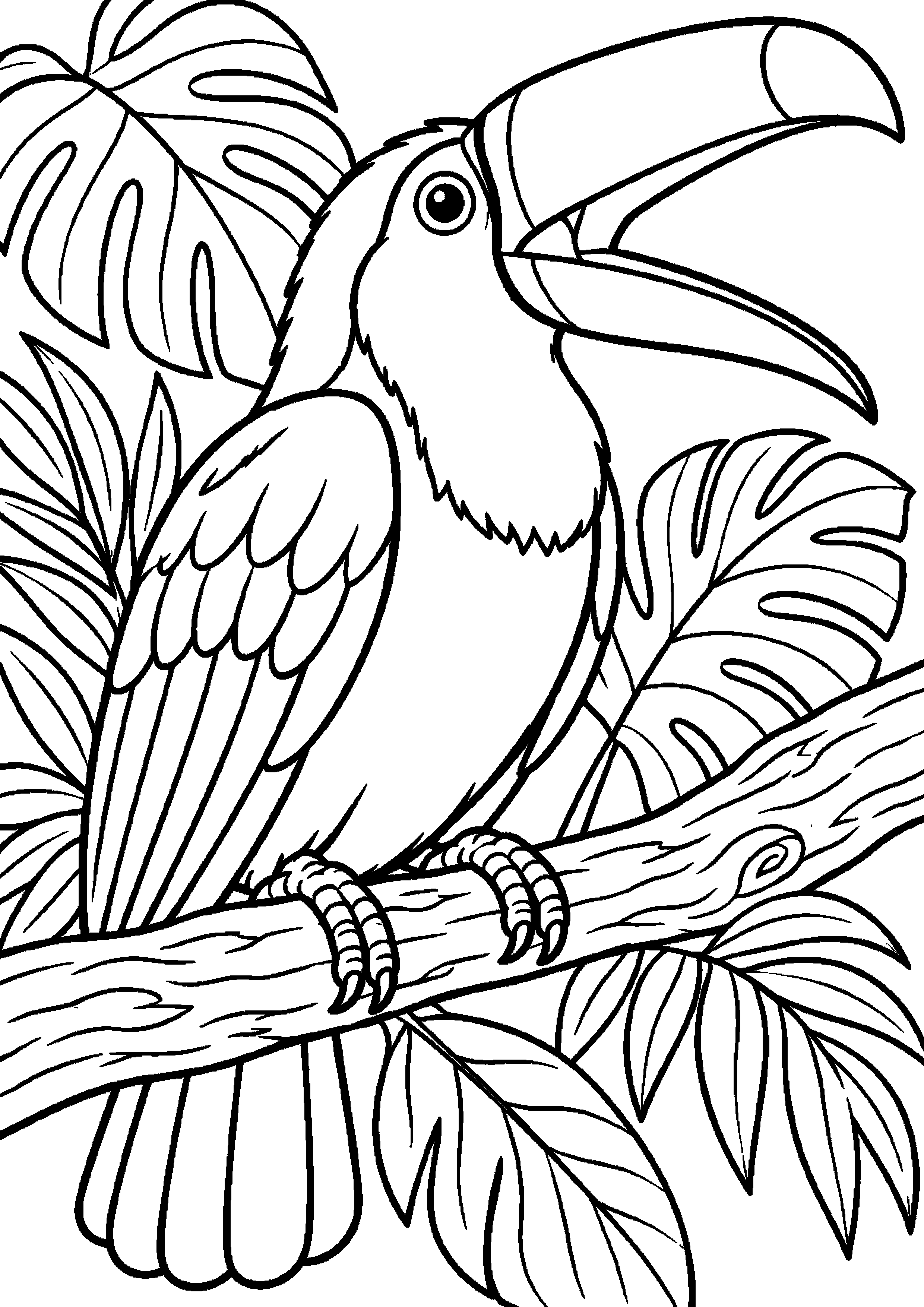 Grand coloriage d’un toucan atterrissant sur une branche, contours noirs nets sur fond blanc