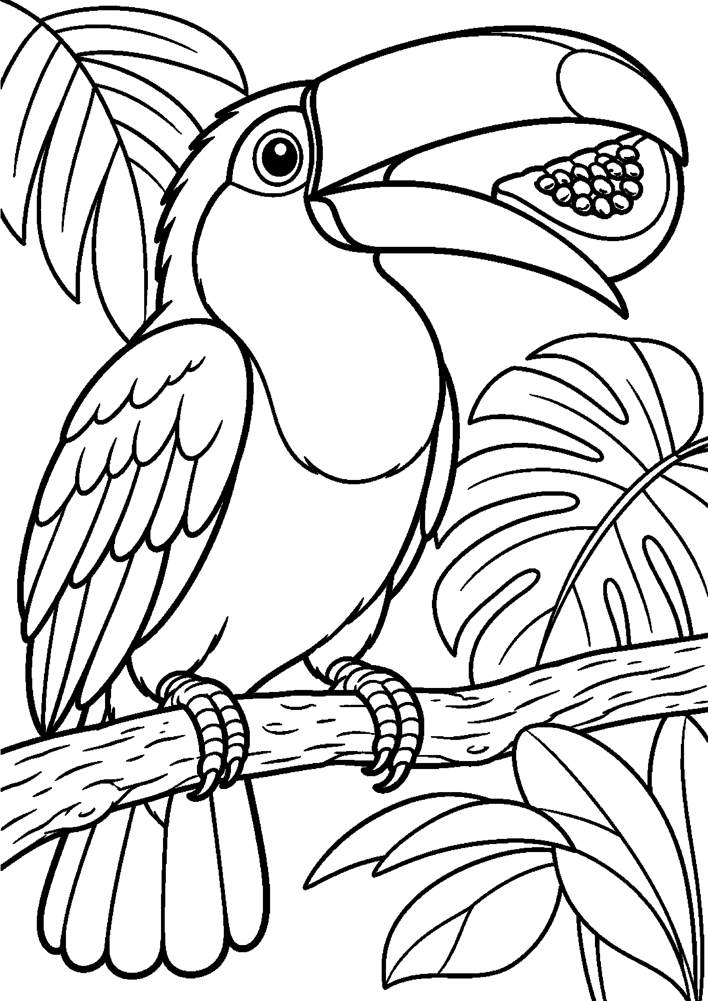 Grand coloriage d’un toucan avec deux oiseaux se faisant face, contours noirs nets sur fond blanc