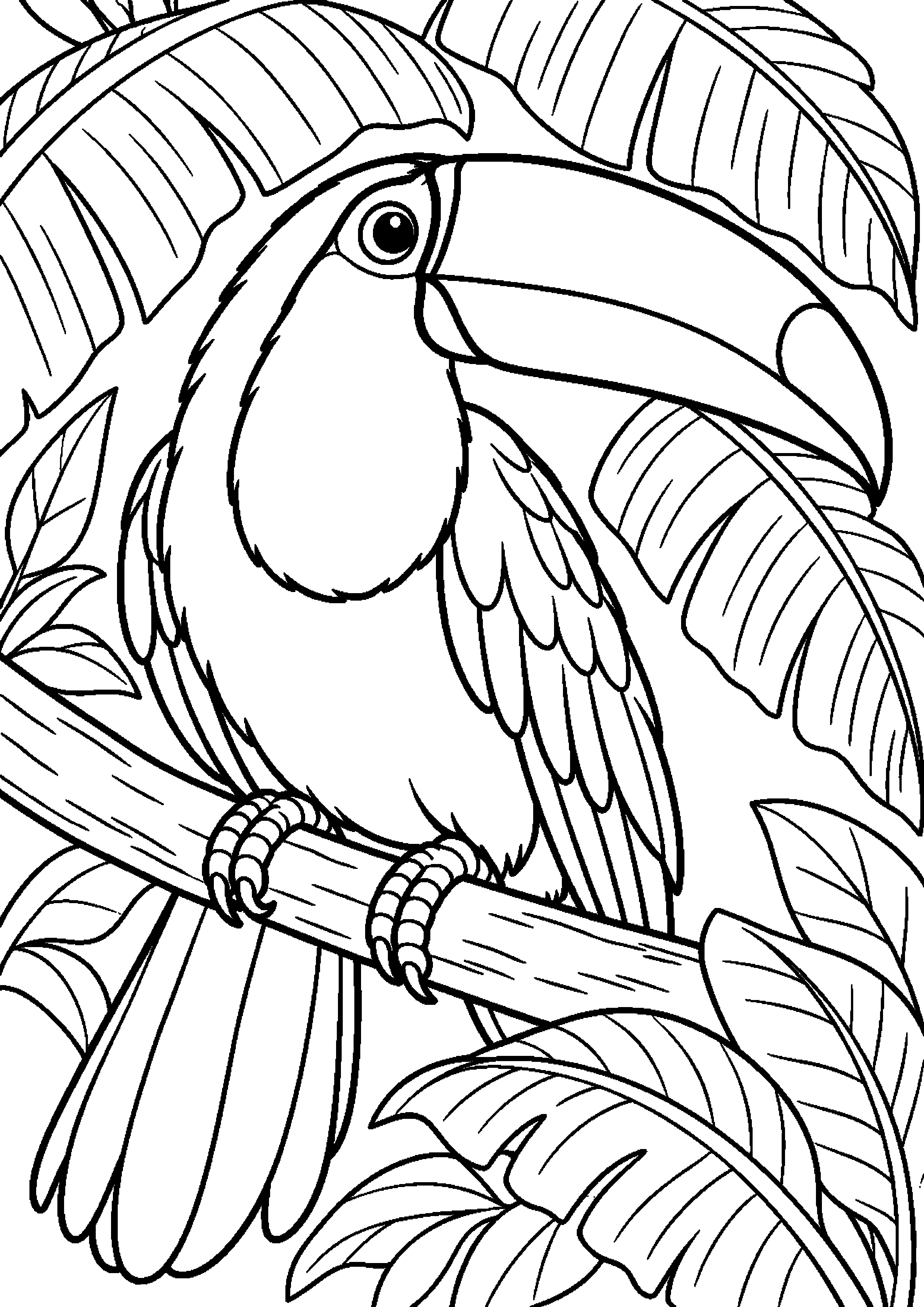 Grand coloriage d’un toucan chantant sur une branche, contours noirs nets sur fond blanc
