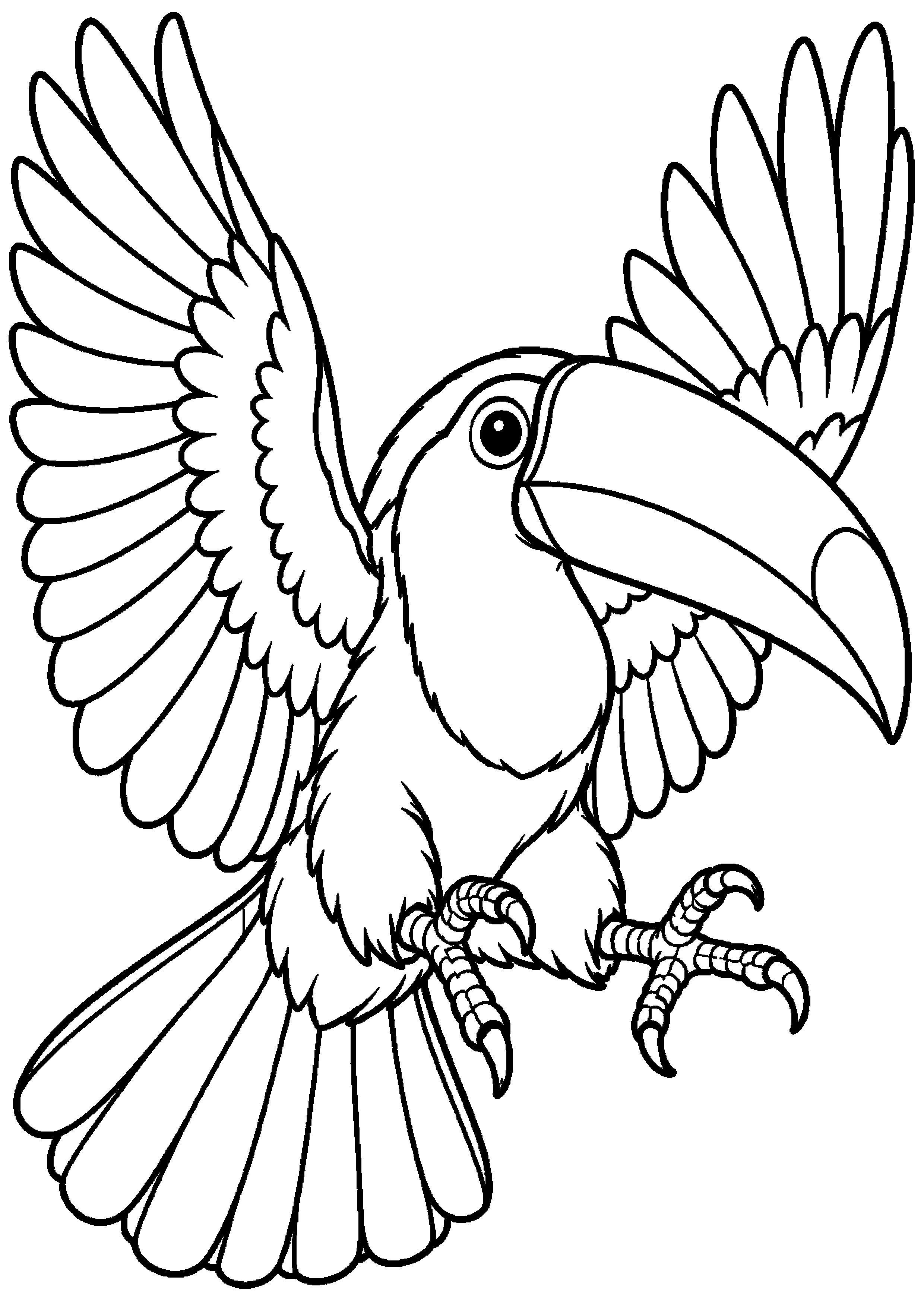 Grand coloriage d’un toucan devant de grandes feuilles, contours noirs nets sur fond blanc