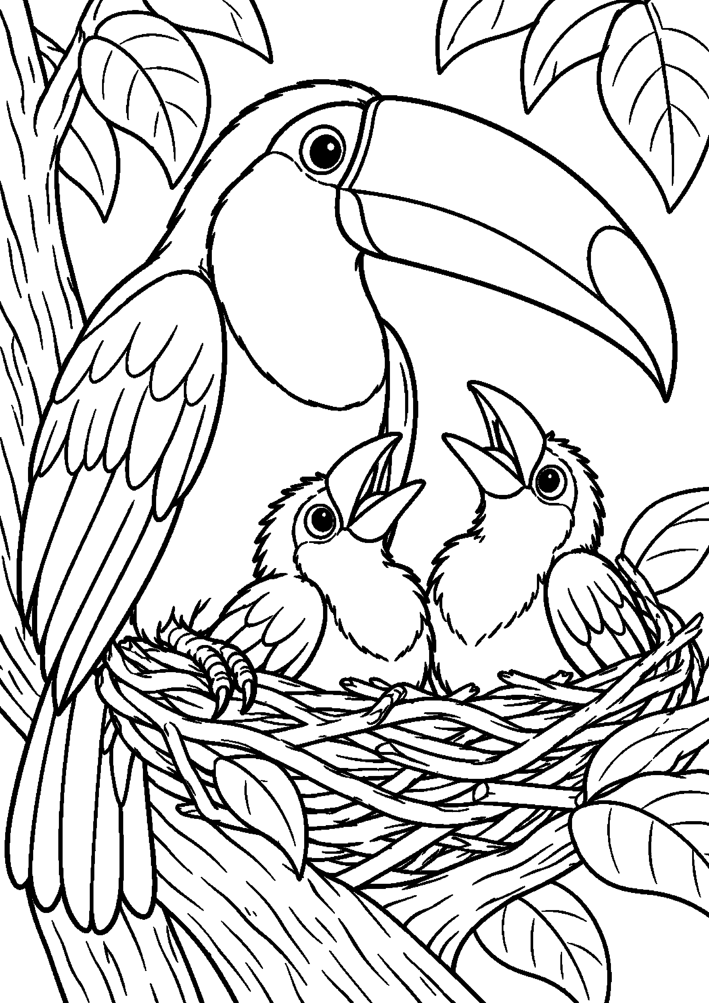 Grand coloriage d’un toucan posé sur une souche, contours noirs nets sur fond blanc