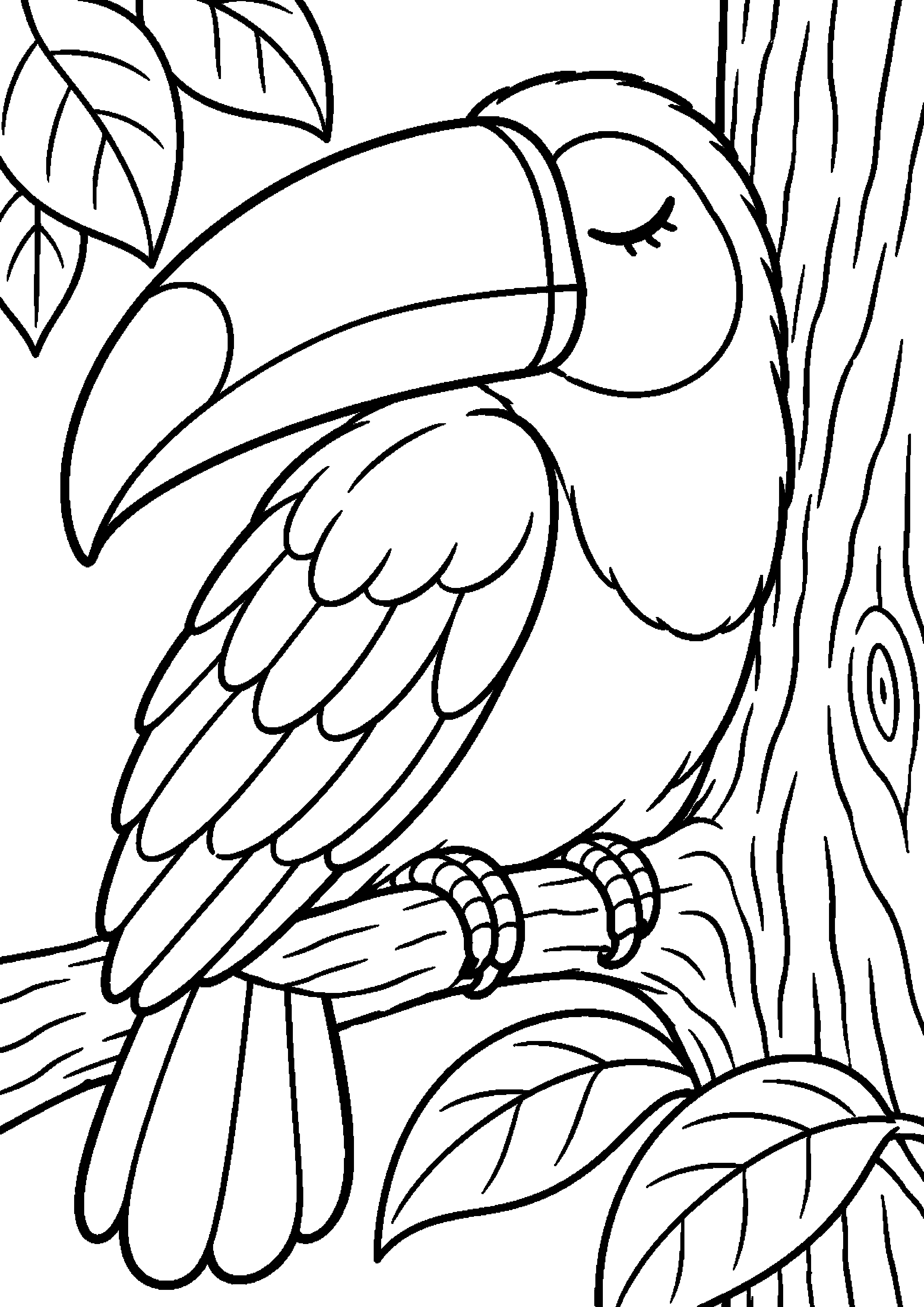 Grand coloriage d’un toucan près d’un ruisseau, contours noirs nets sur fond blanc