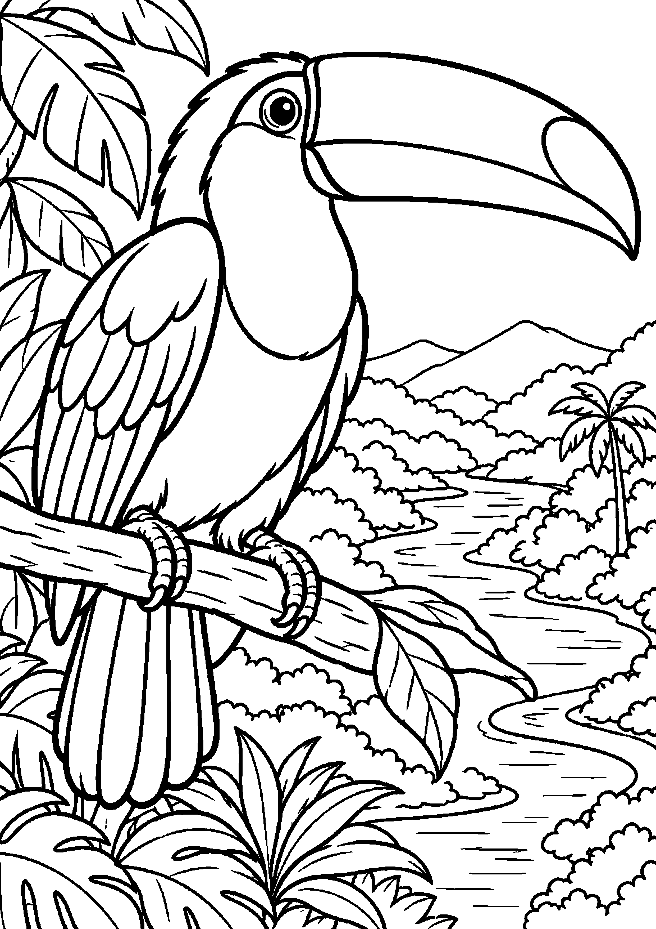 Grand coloriage d’un toucan tête tournée en vue de trois quarts, contours noirs nets sur fond blanc