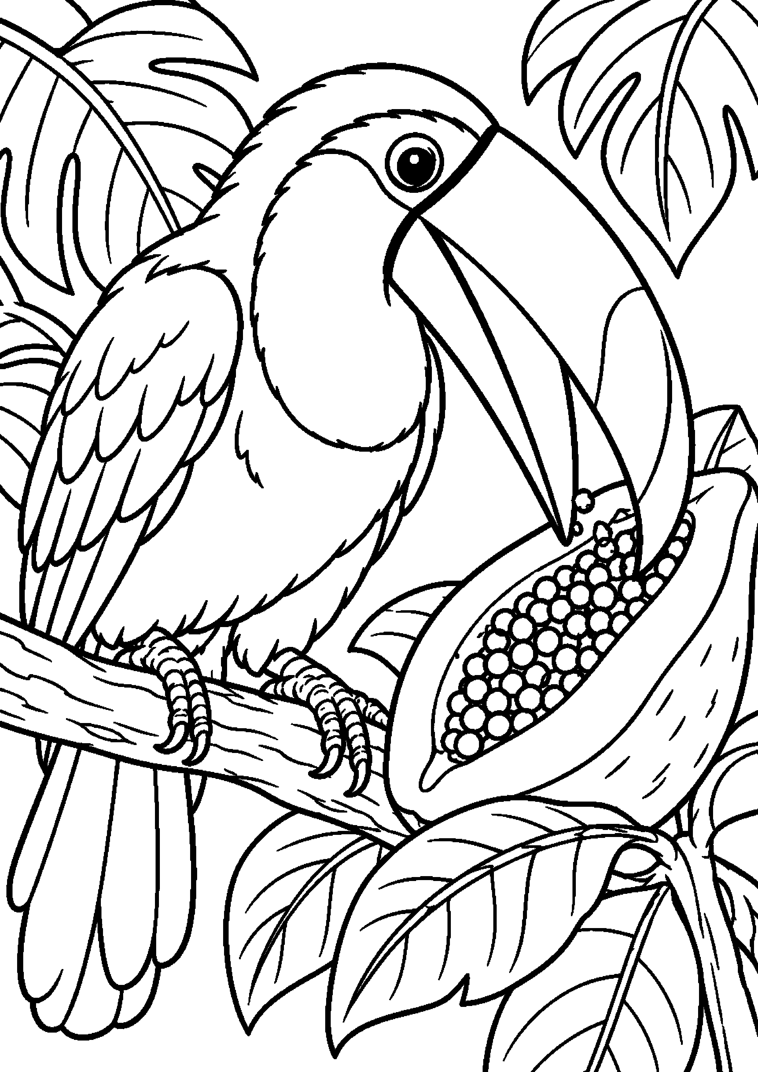 Grand coloriage d’un toucan en silhouette entière facile, contours noirs nets sur fond blanc