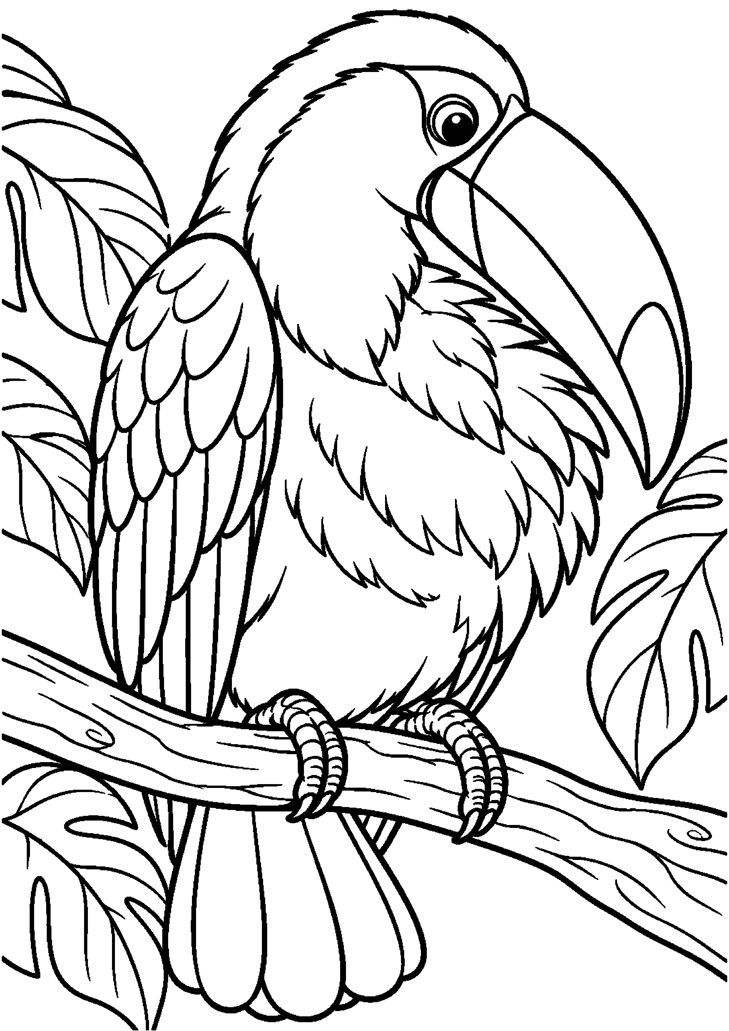 Grand coloriage d’un toucan les ailes déployées de façon symétrique, contours noirs nets sur fond blanc