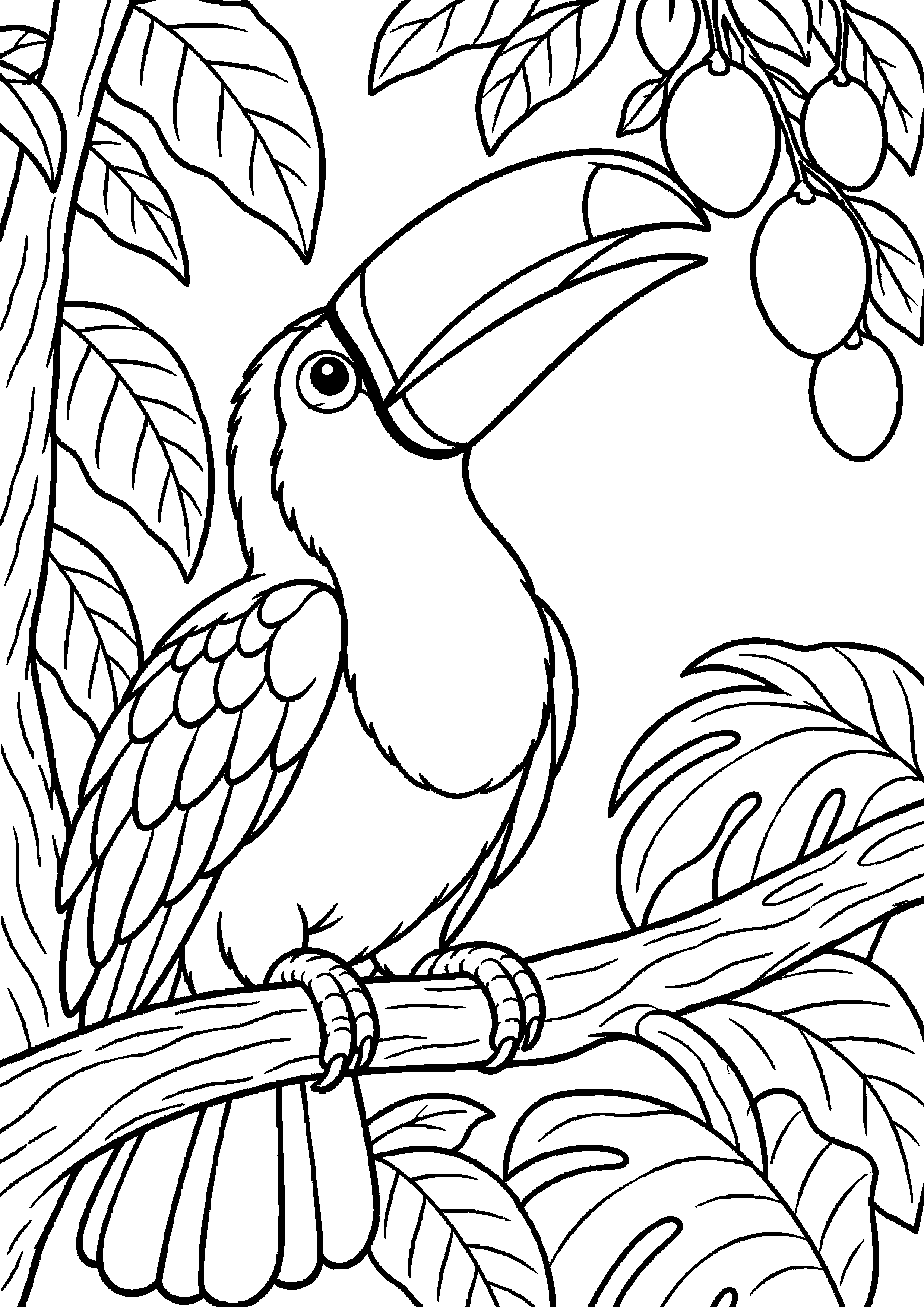 Grand coloriage d’un toucan volant au-dessus de feuillages bas, contours noirs nets sur fond blanc