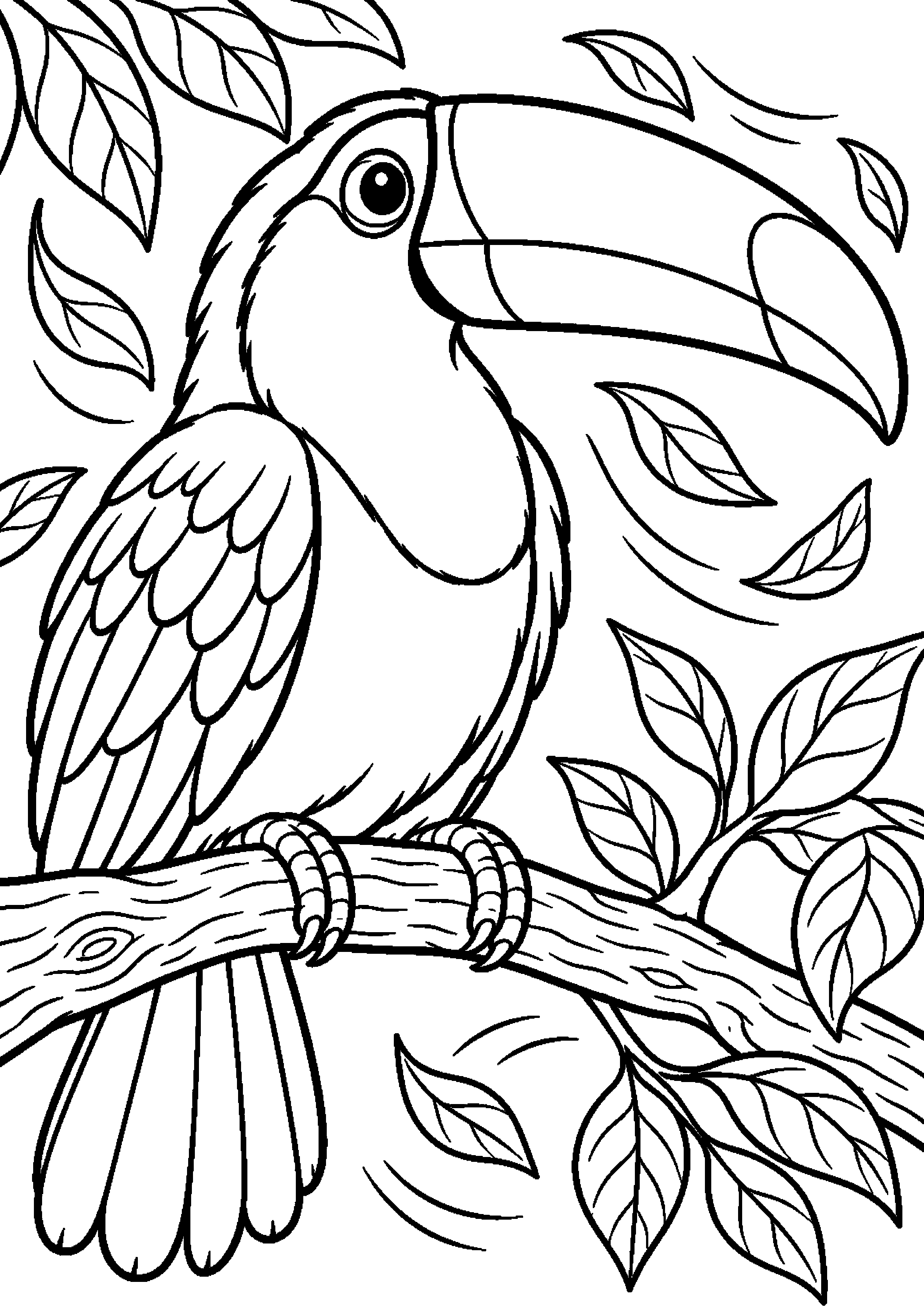 Grand coloriage d’un toucan se reposant dans le feuillage, contours noirs nets sur fond blanc