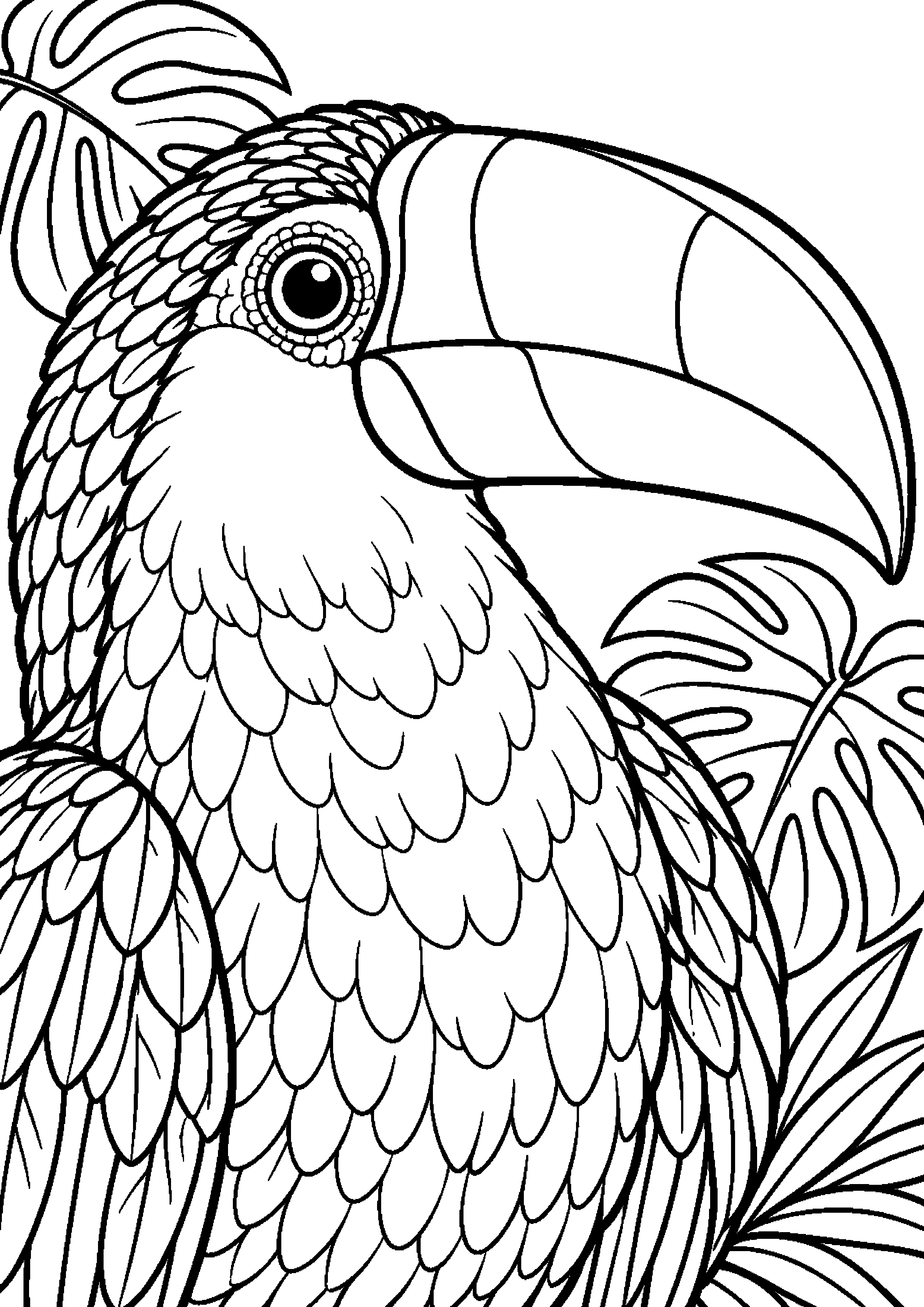 Grand coloriage d’un toucan avec un adulte et un jeune sur une branche, contours noirs nets sur fond blanc