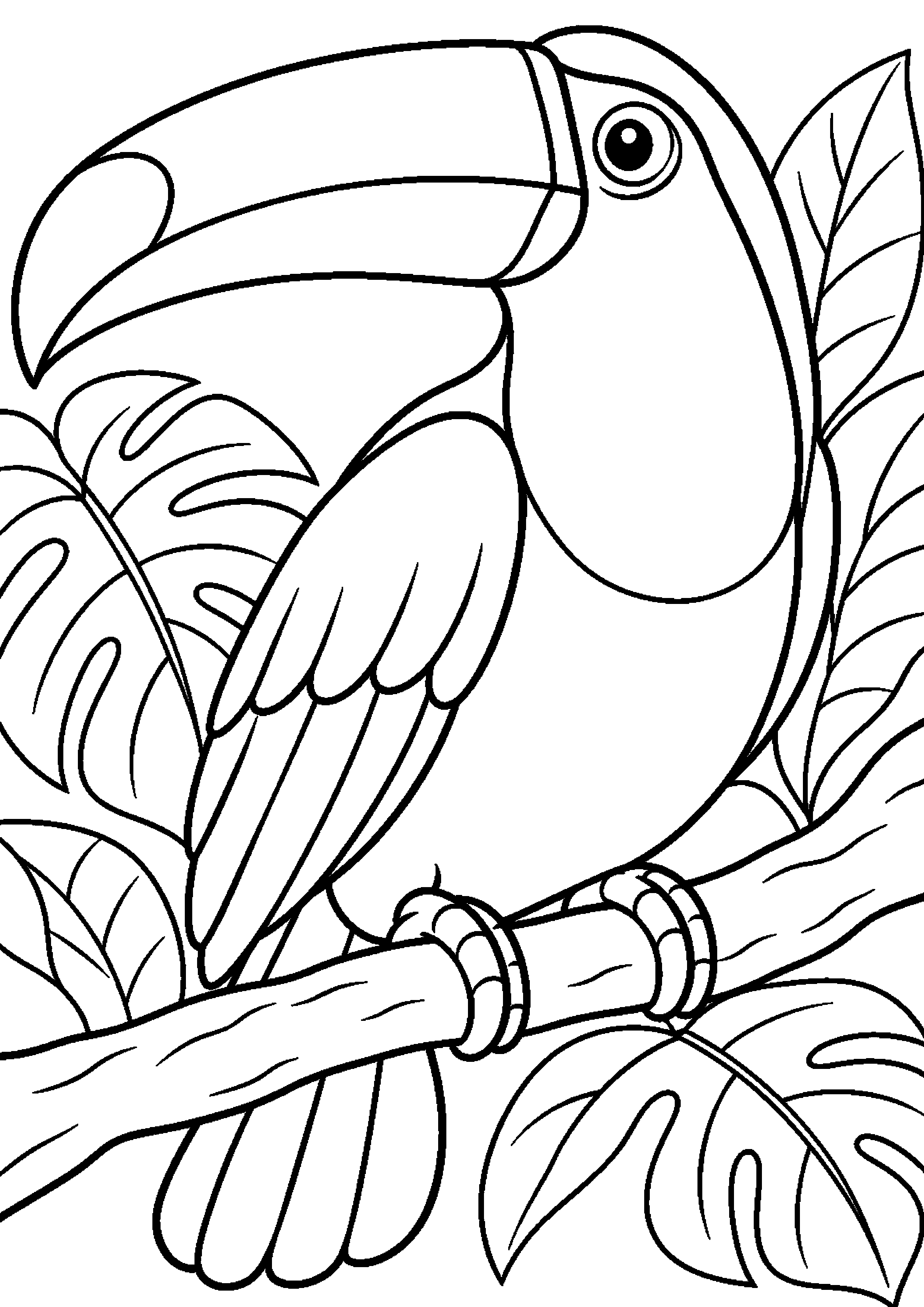 Grand coloriage d’un toucan avec trois oiseaux et le sujet central dominant, contours noirs nets sur fond blanc