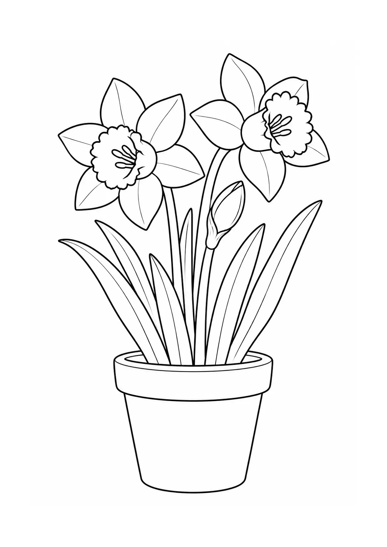 Coloriage jonquille : pot, modèle 06