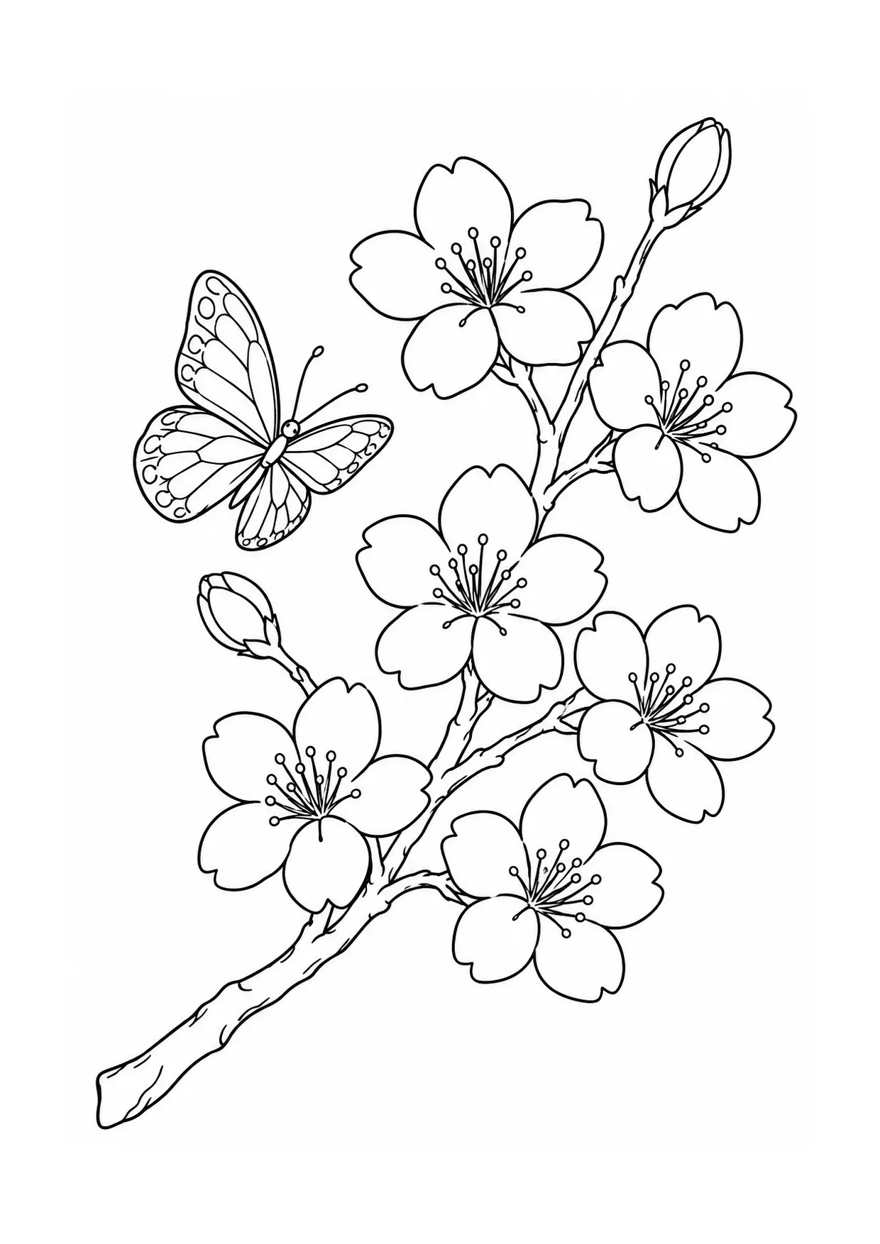 Coloriage cerisier en fleurs à imprimer montrant papillon, illustration 11