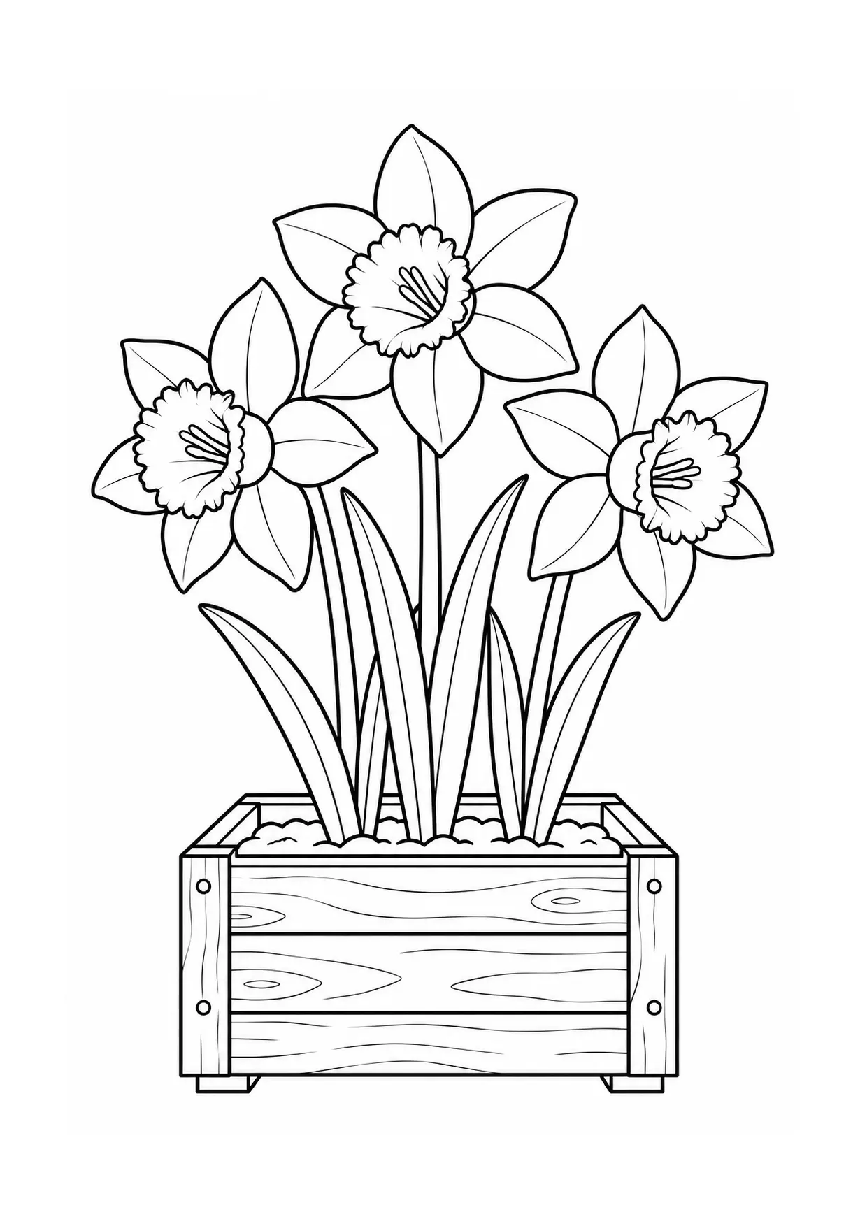 Coloriage jonquille : jardiniere, modèle 07