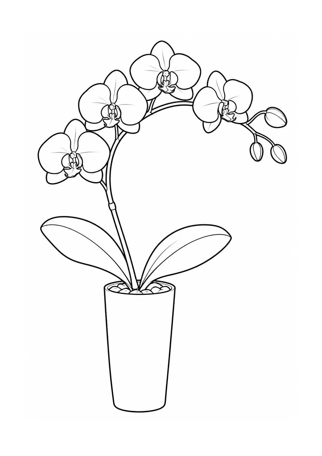 Coloriage orchidée à imprimer montrant arquee, illustration 8