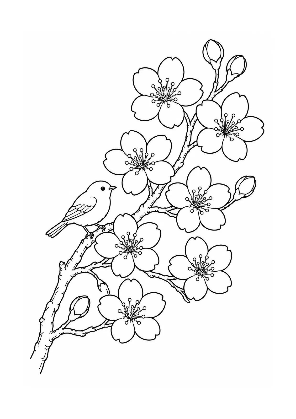 Coloriage cerisier en fleurs à imprimer montrant oiseau, illustration 14
