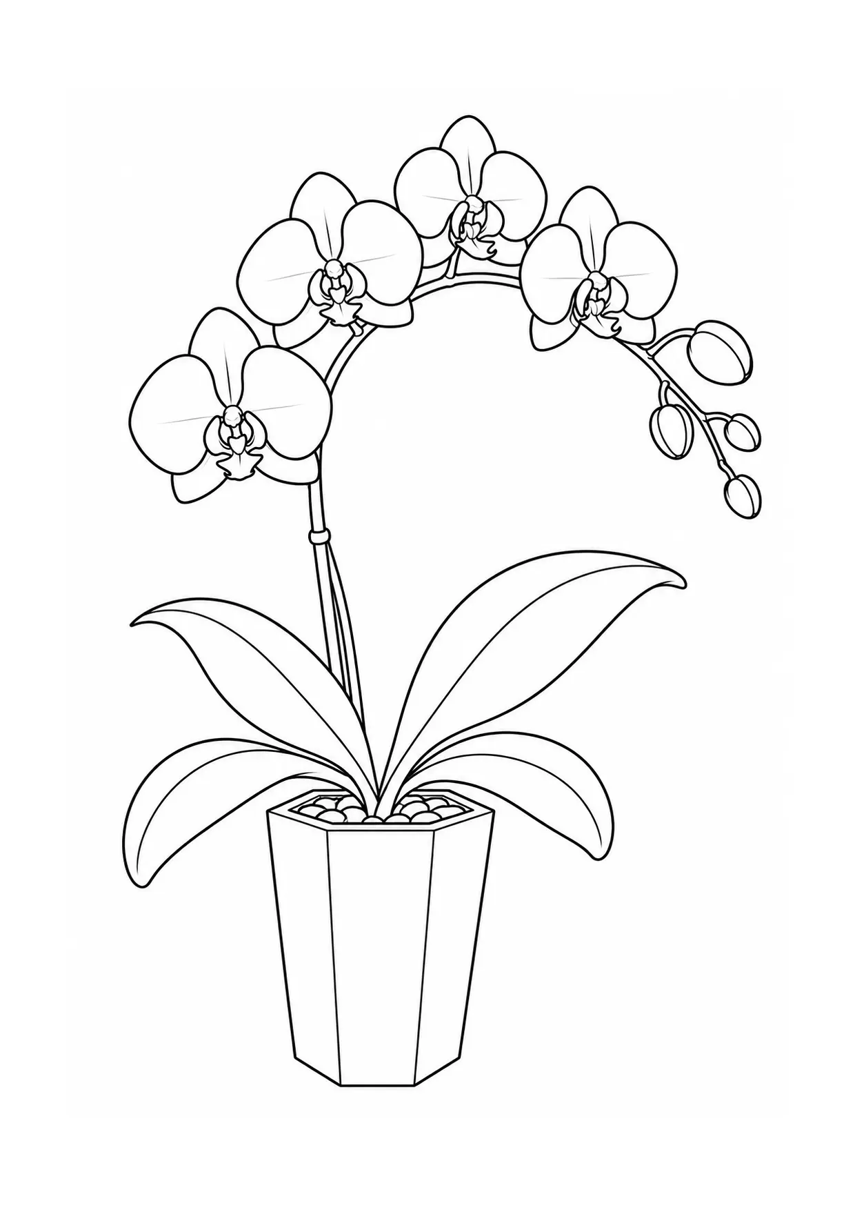 Coloriage orchidée à imprimer montrant geometrique, illustration 11