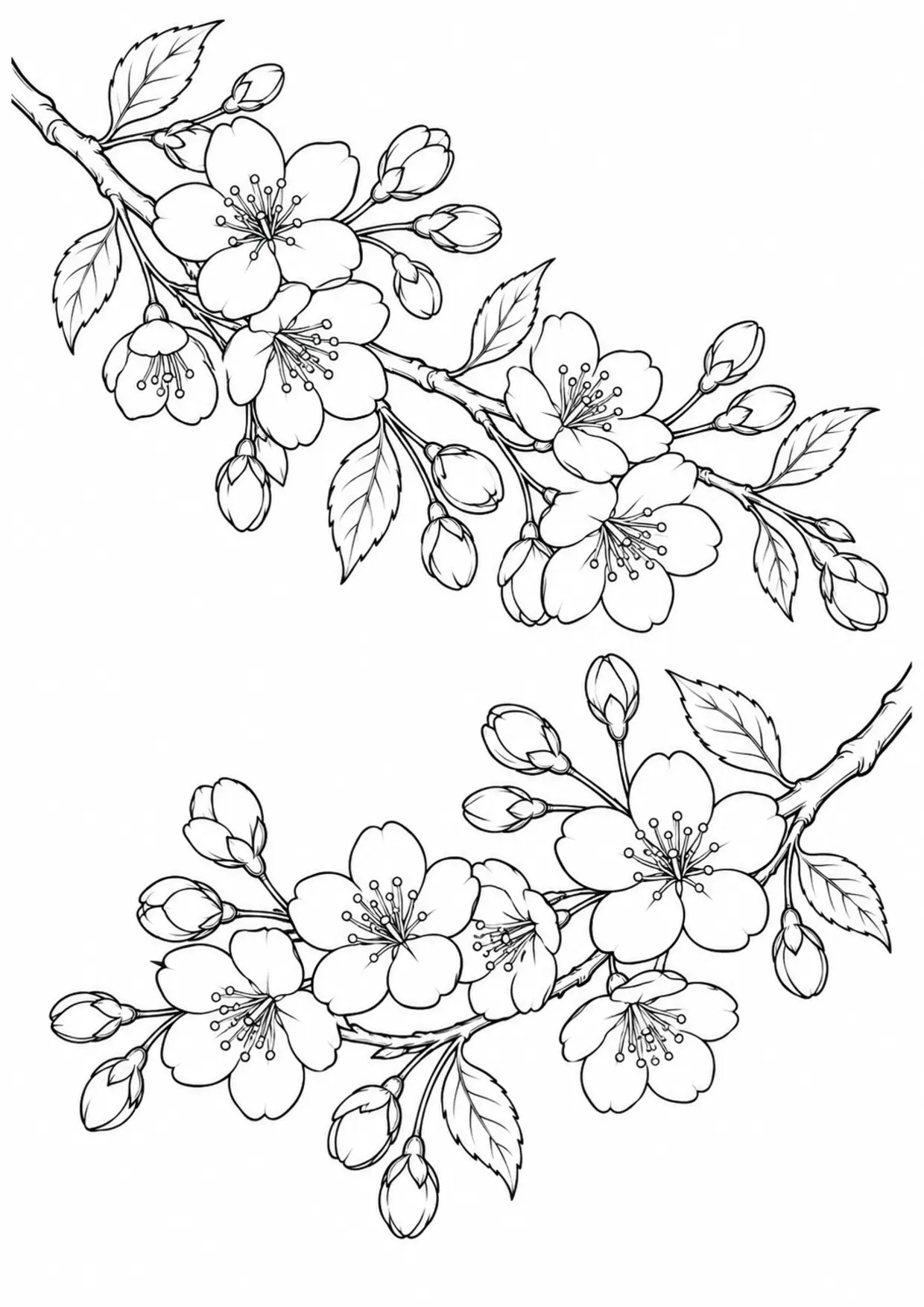 Coloriage cerisier en fleurs à imprimer montrant branches, illustration 17