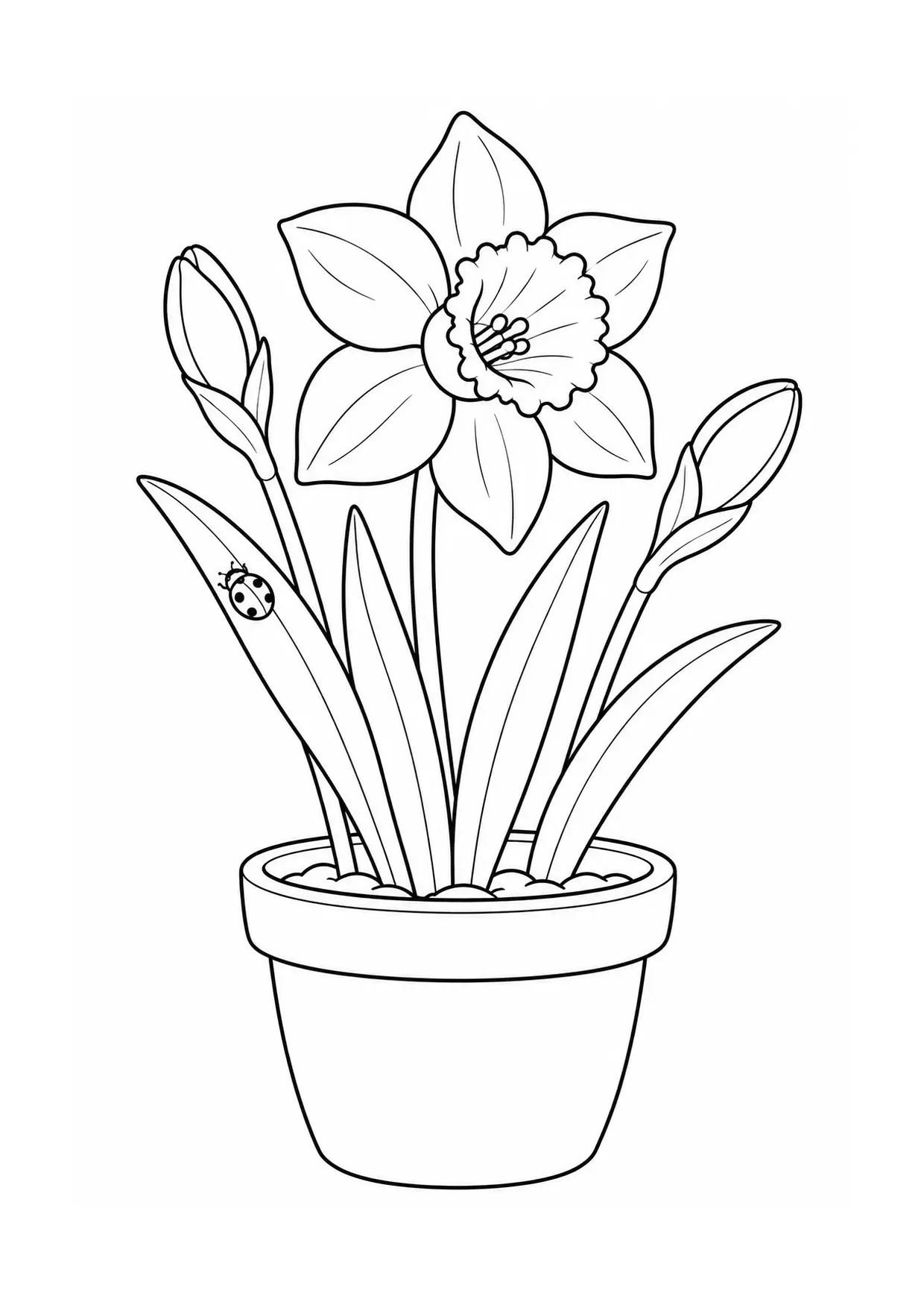 Coloriage jonquille à imprimer montrant pot, illustration 13