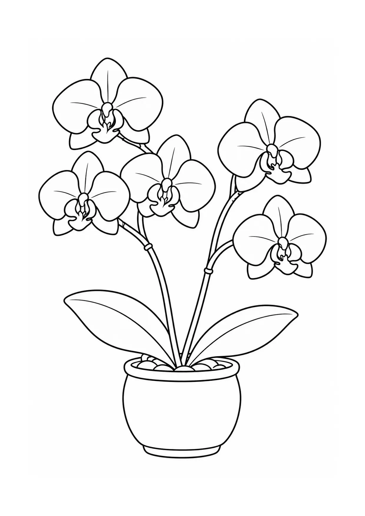 Coloriage orchidée à imprimer montrant deux tiges, illustration 14