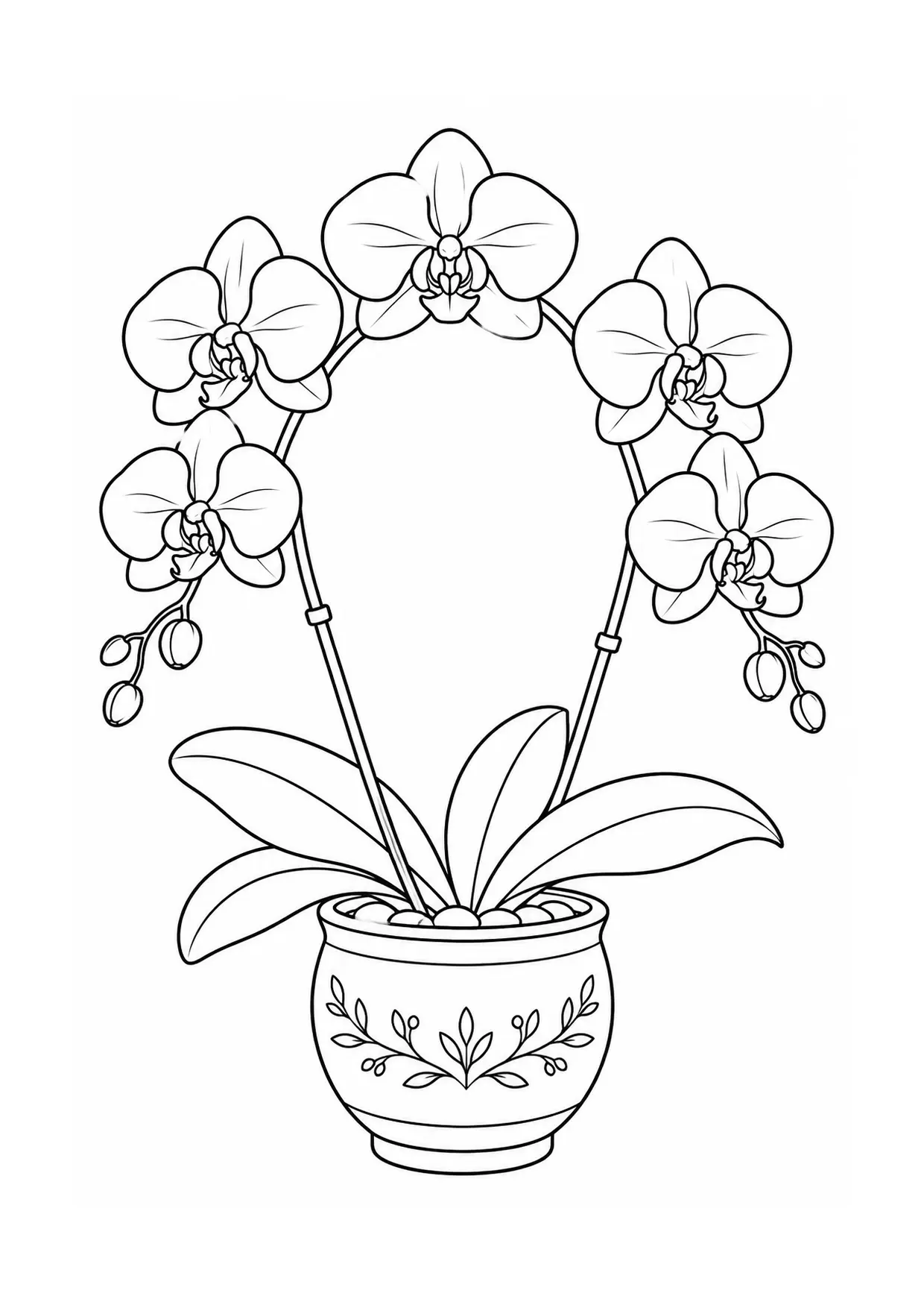 Coloriage orchidée à imprimer montrant pot, illustration 15