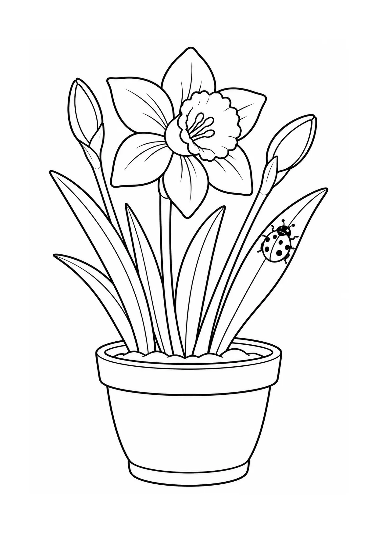Coloriage jonquille à imprimer montrant pot, illustration 16