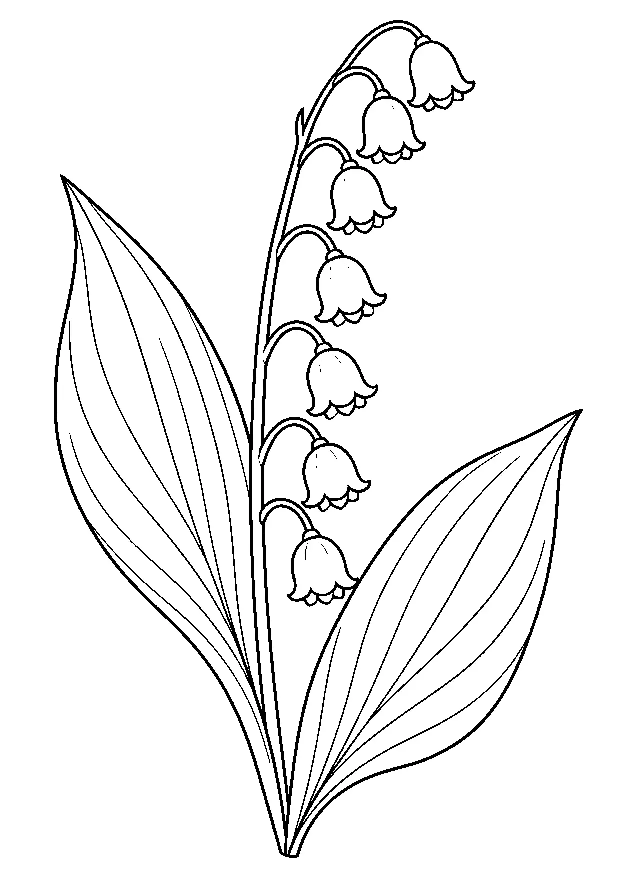 Coloriage muguet : muguet, modèle 18