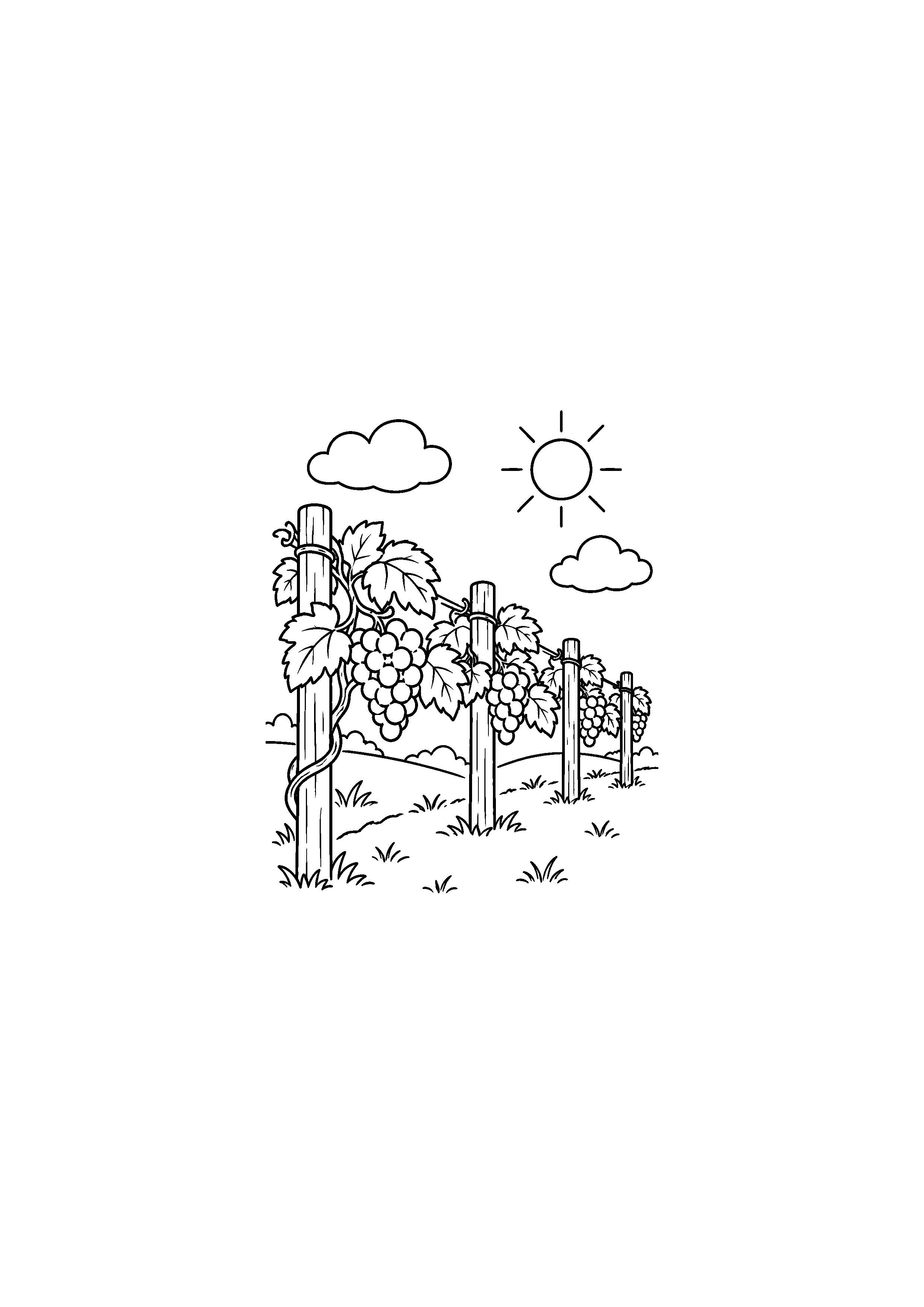 Coloriage d'une rangée de vigne avec grappes soleil et nuages