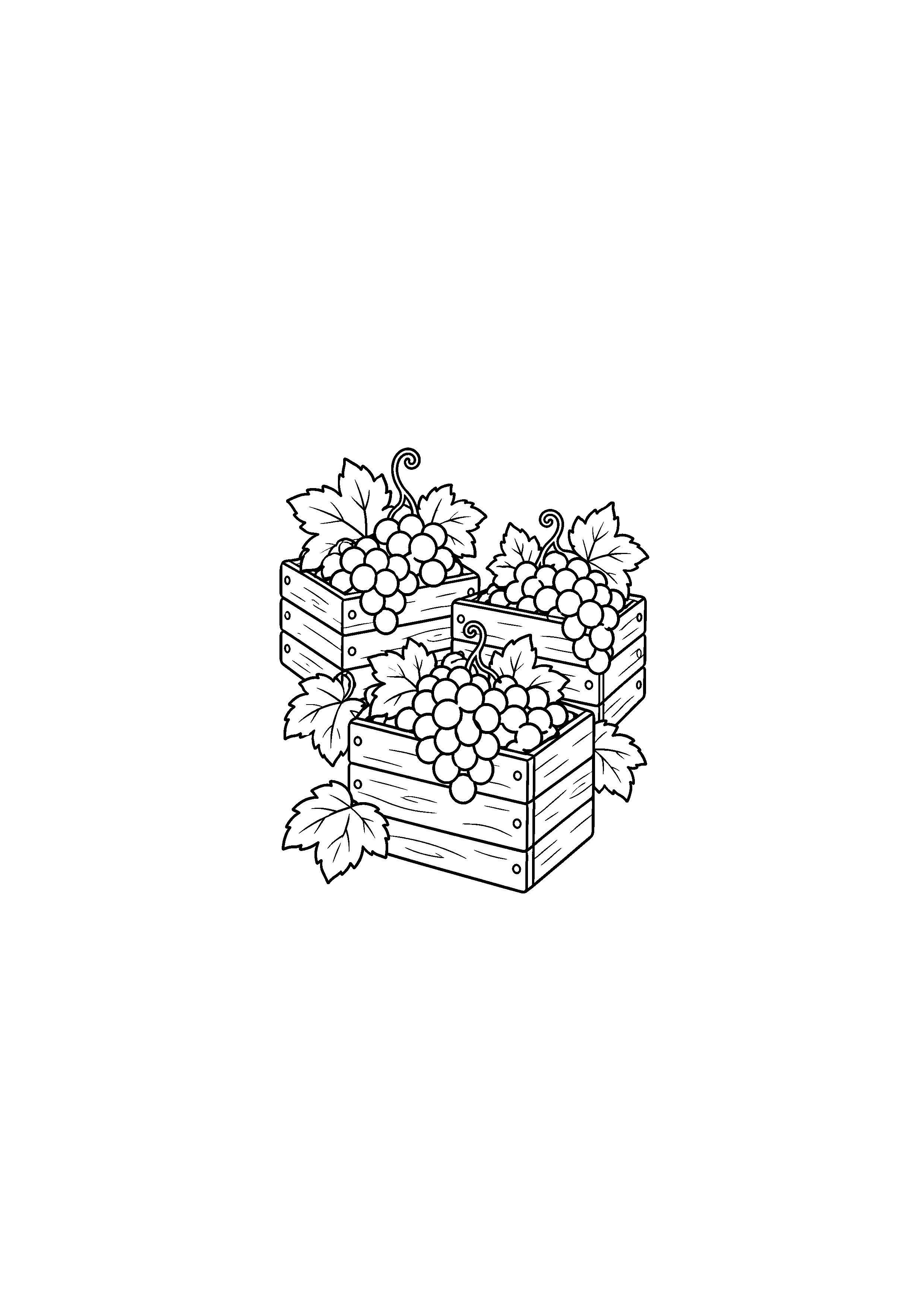 Coloriage de trois cagettes remplies de grappes de raisin