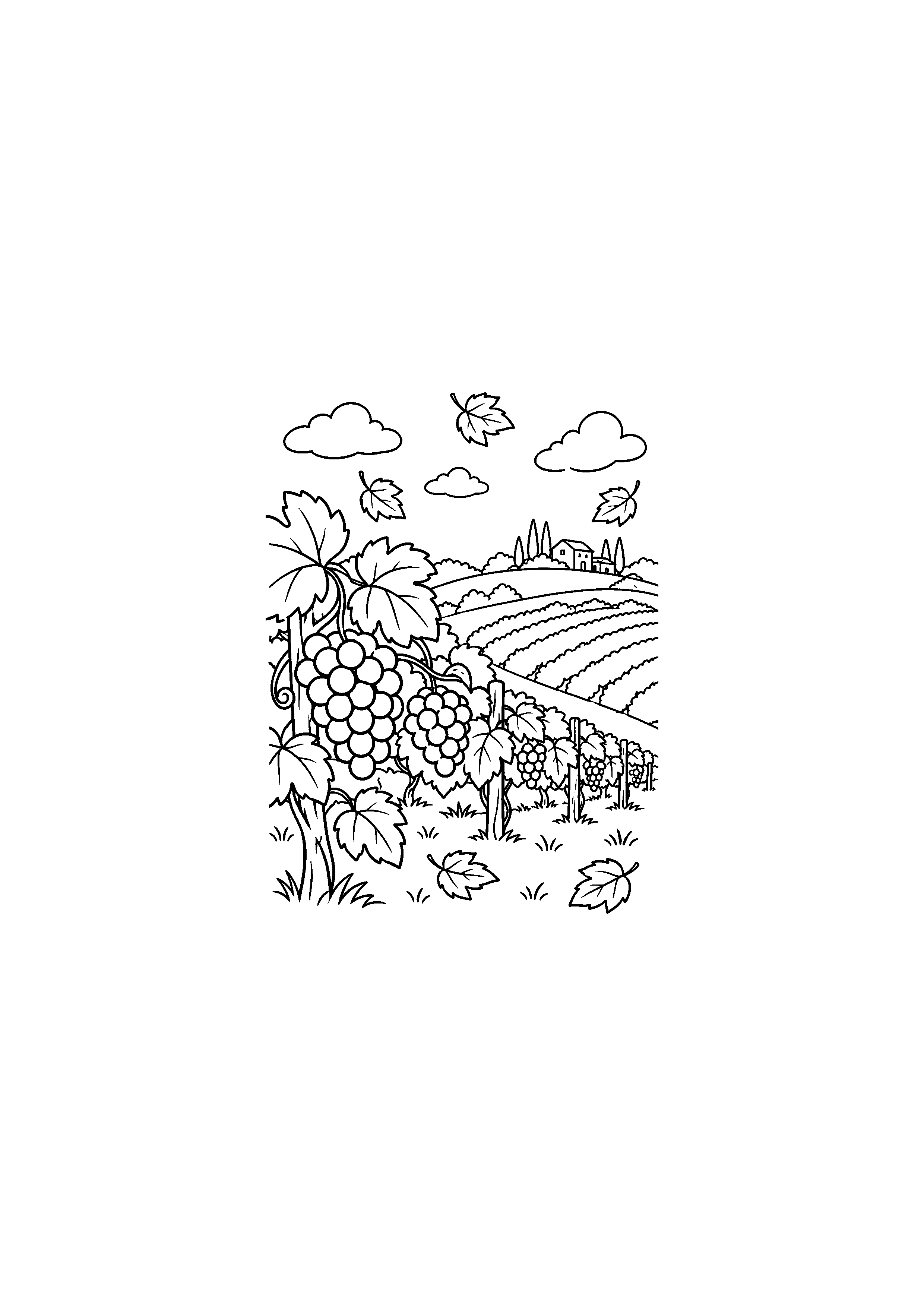 Coloriage d'un vignoble en automne avec rangées de vignes et maison au loin