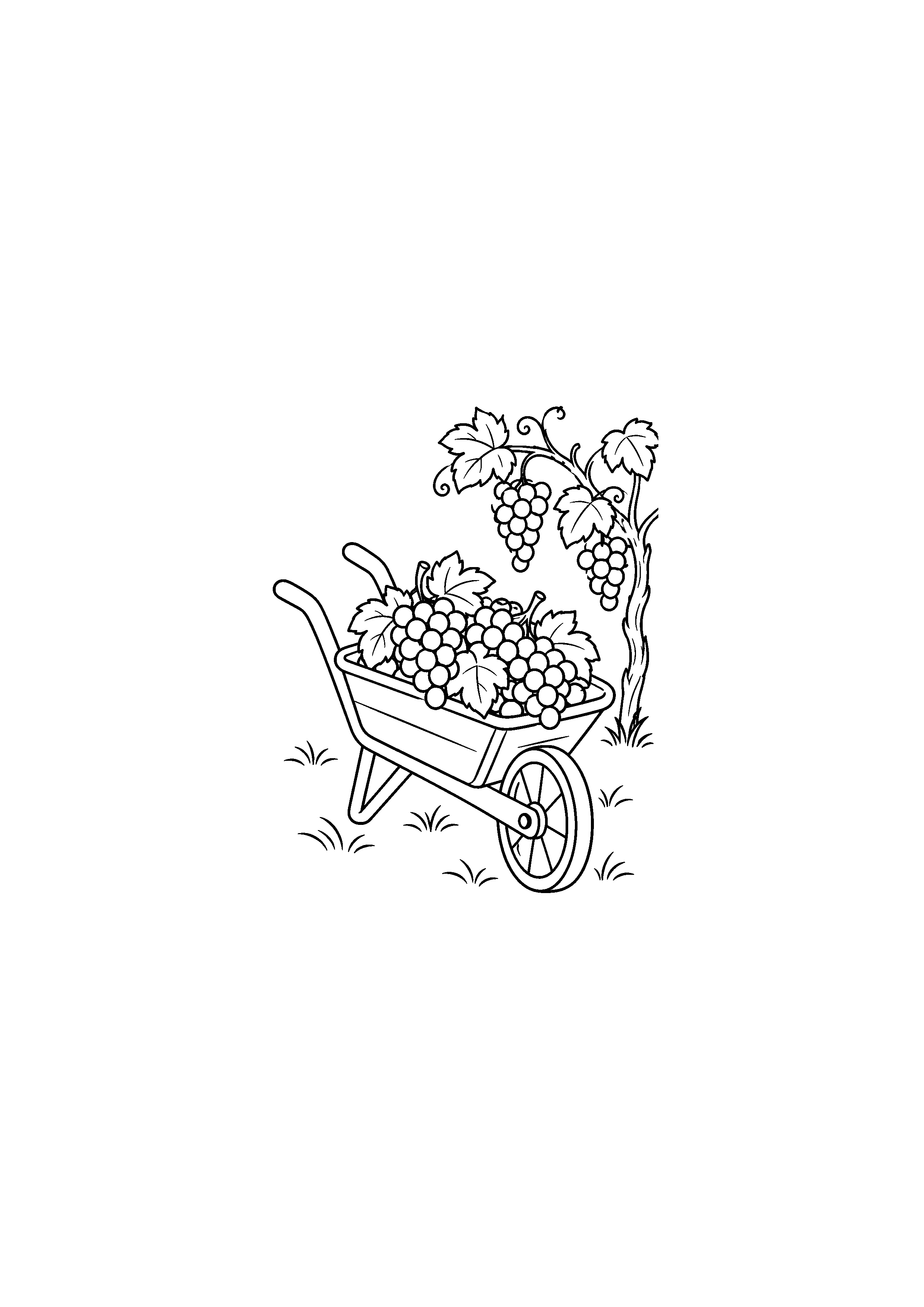 Coloriage d'une brouette remplie de grappes de raisin près d'une vigne