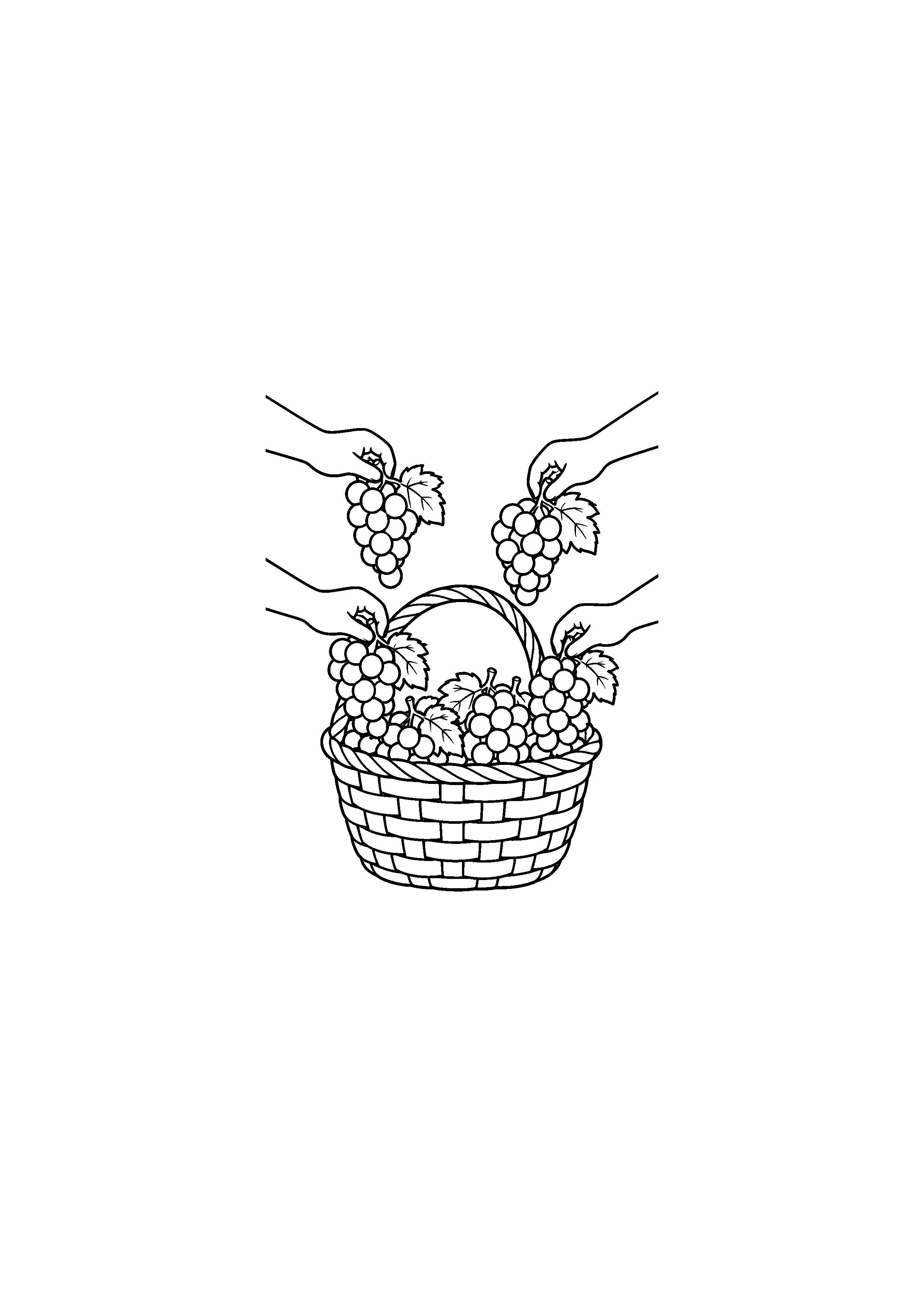 Coloriage de plusieurs mains déposant des grappes de raisin dans un panier