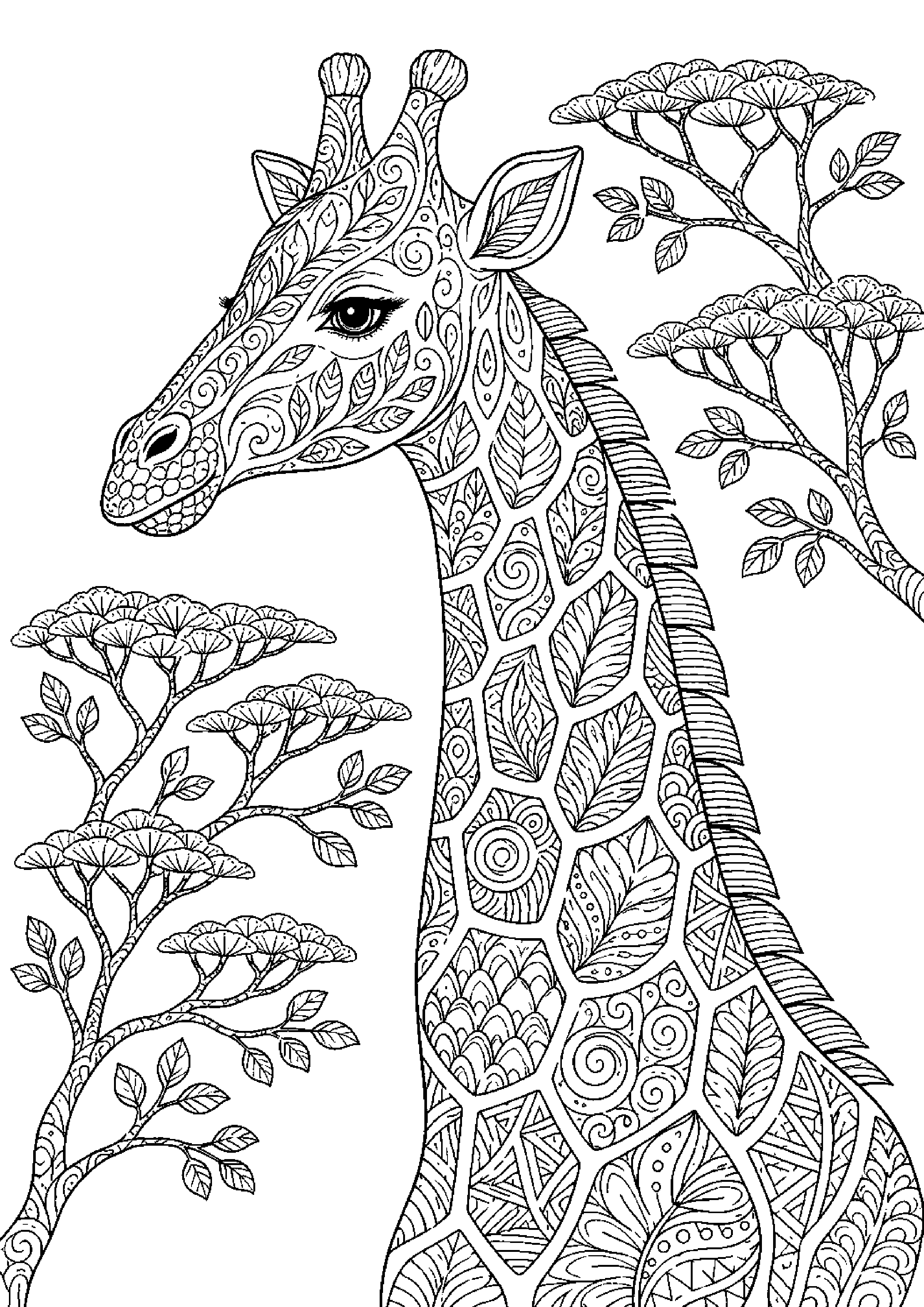 Coloriage zentangle animal à imprimer – dessin n°3