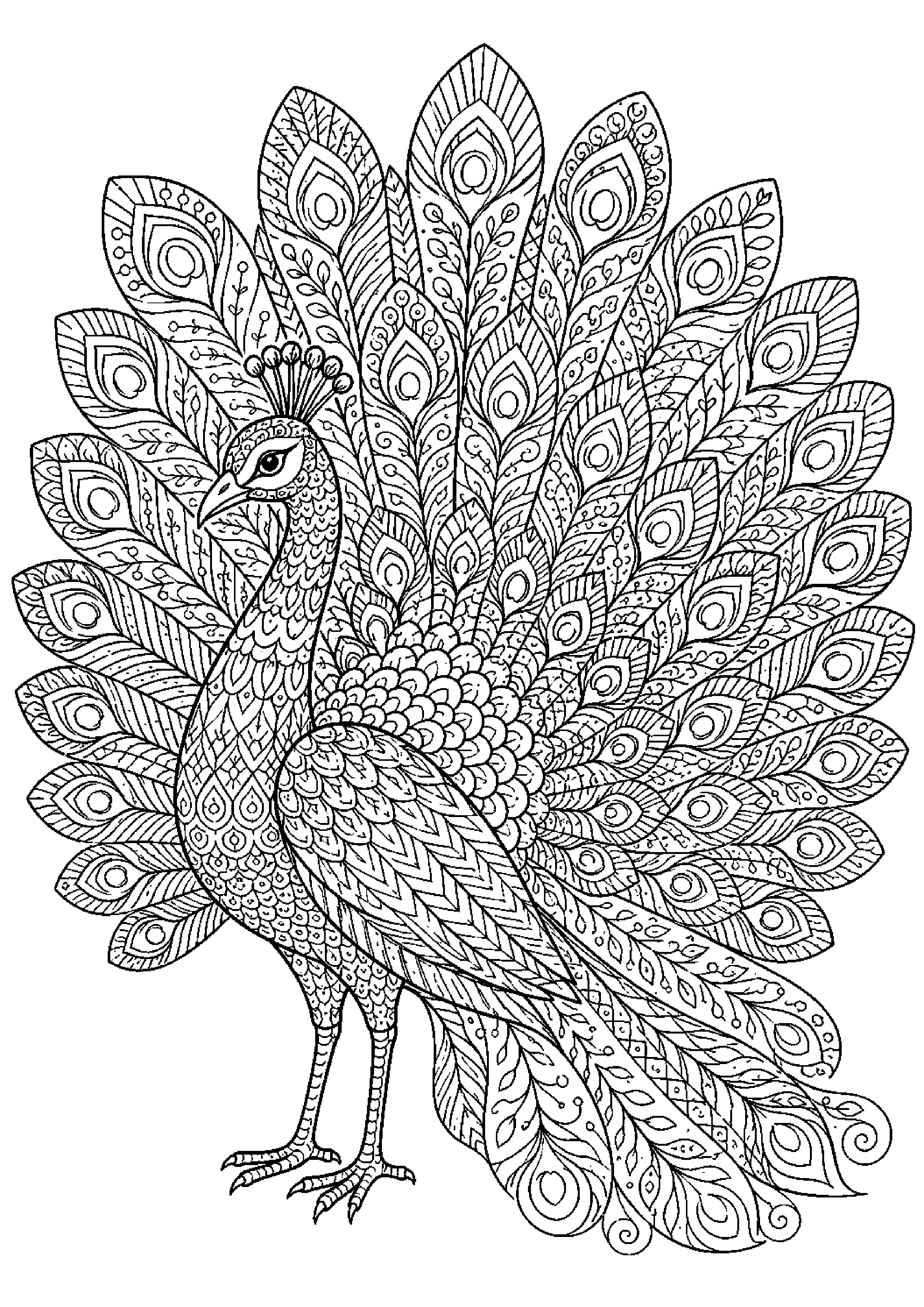 Coloriage zentangle animal à imprimer – dessin n°7