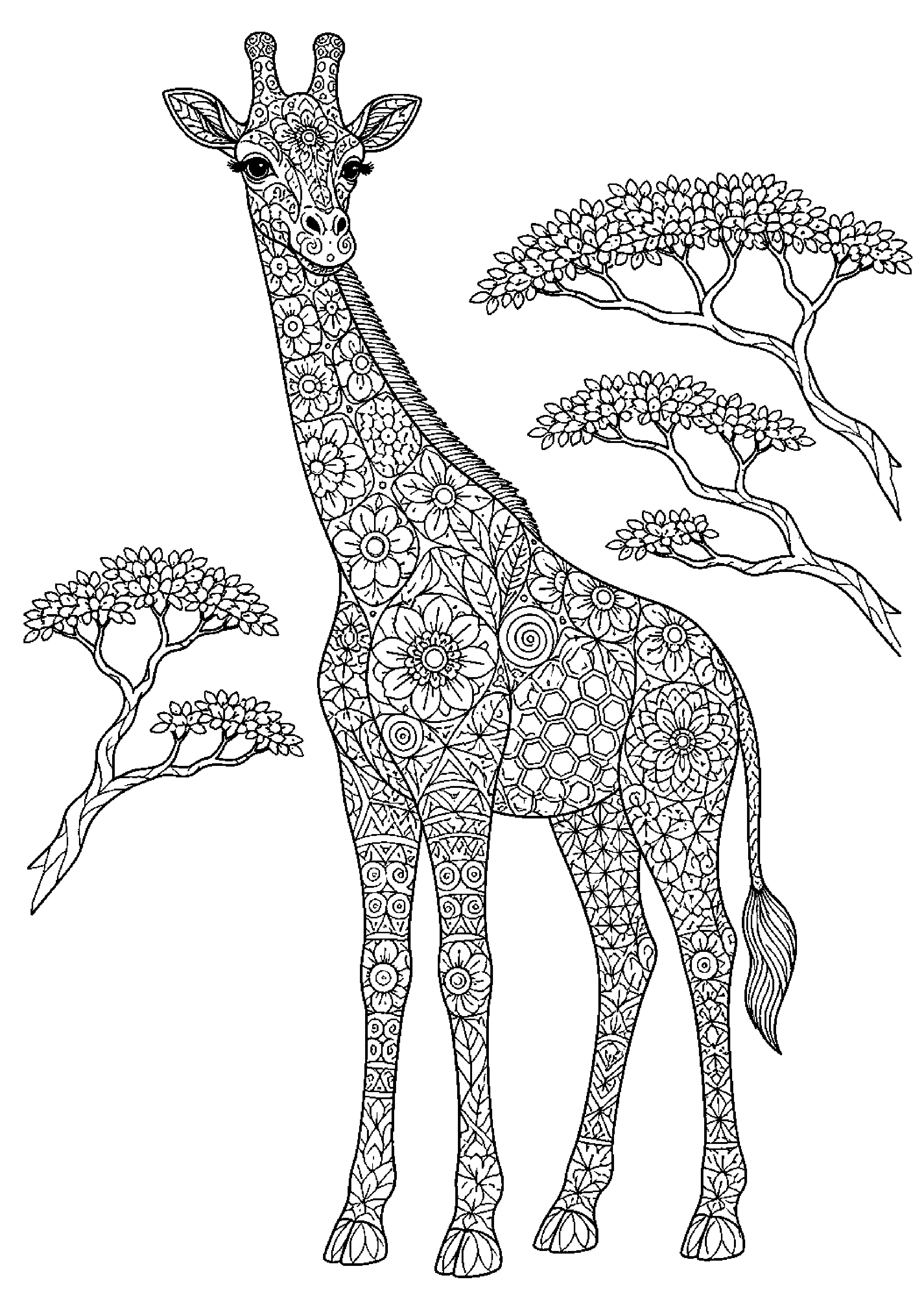 Coloriage zentangle animal à imprimer – dessin n°16