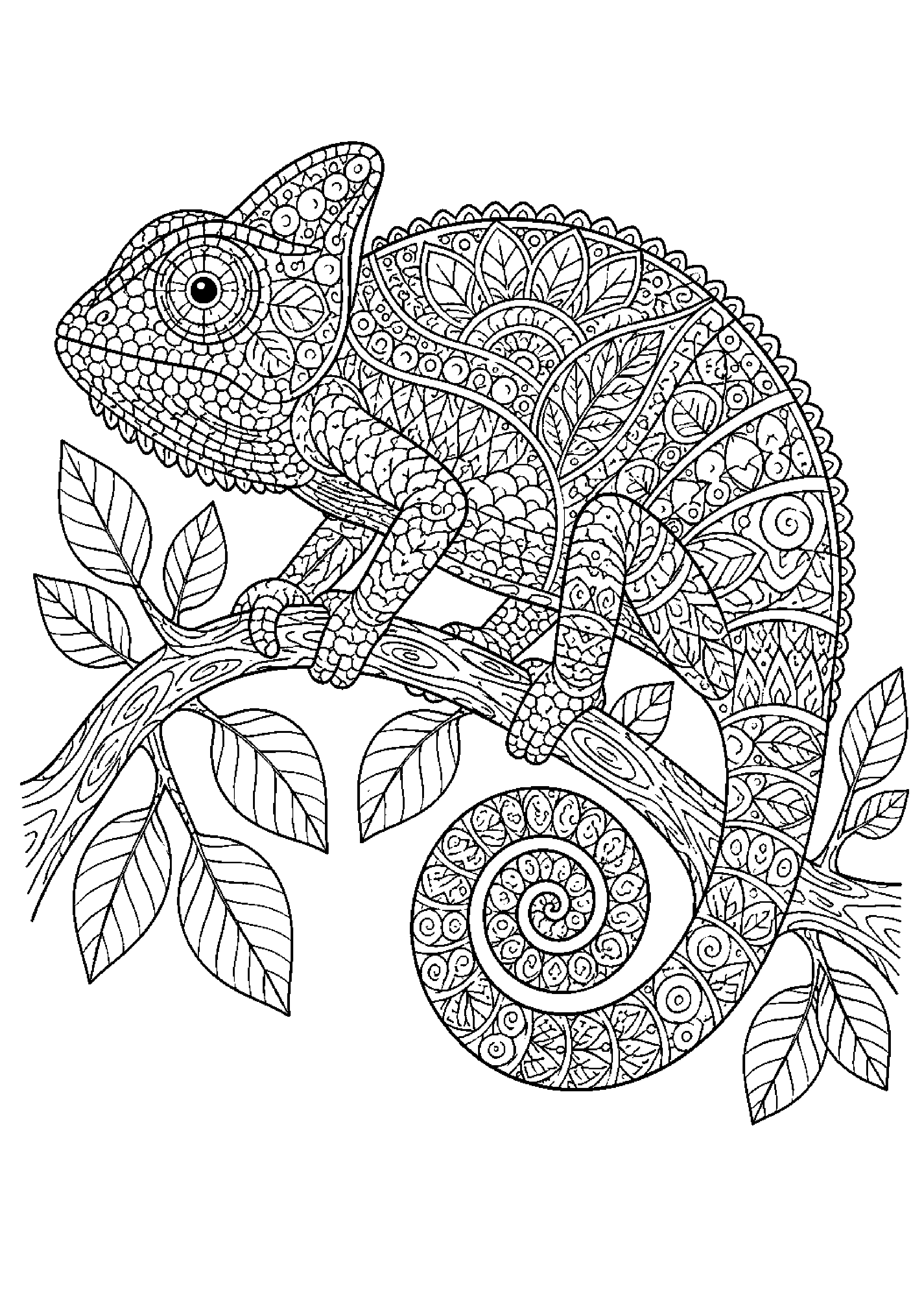 Coloriage zentangle animal à imprimer – dessin n°17
