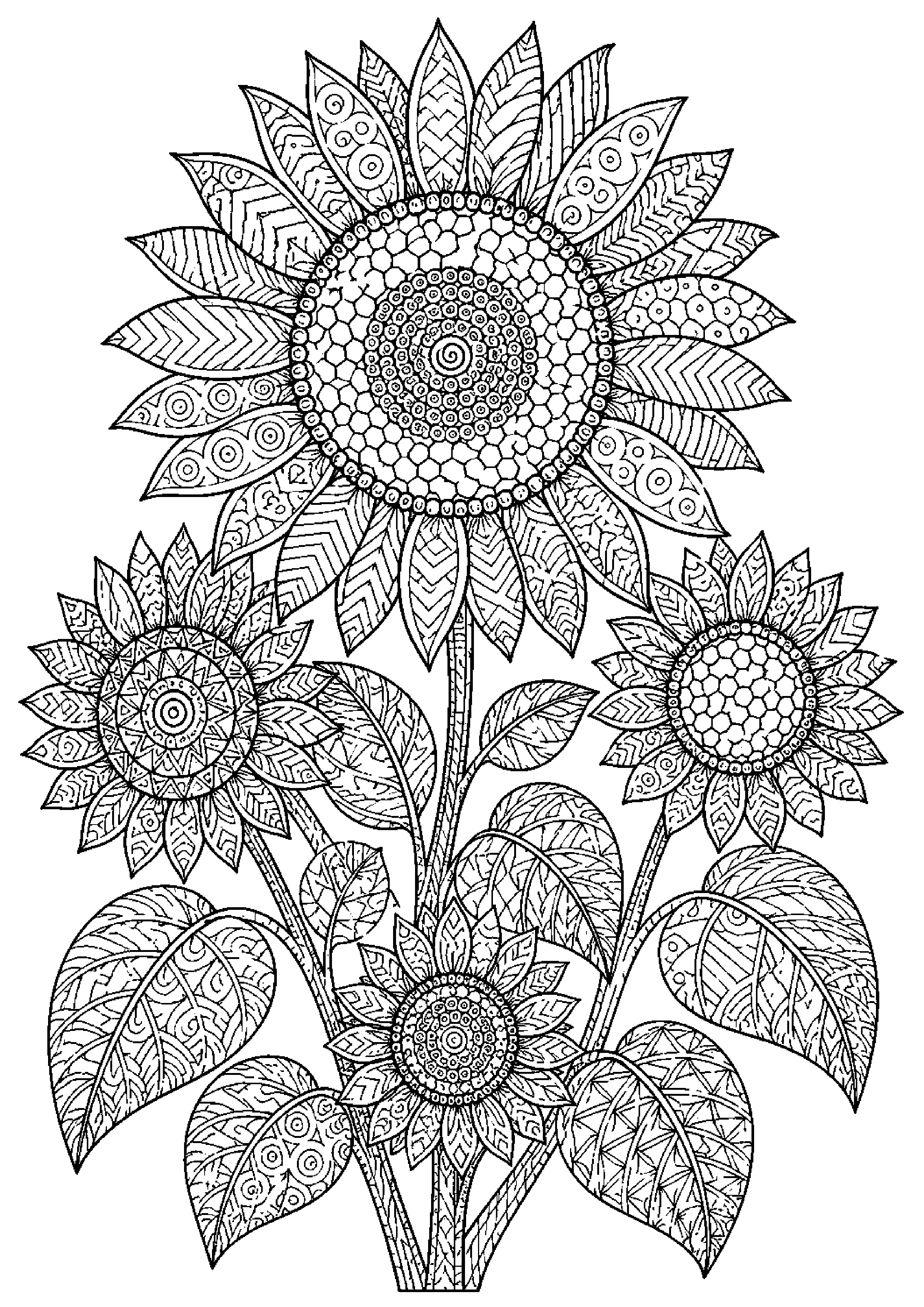Coloriage zentangle floral à imprimer – dessin n°3
