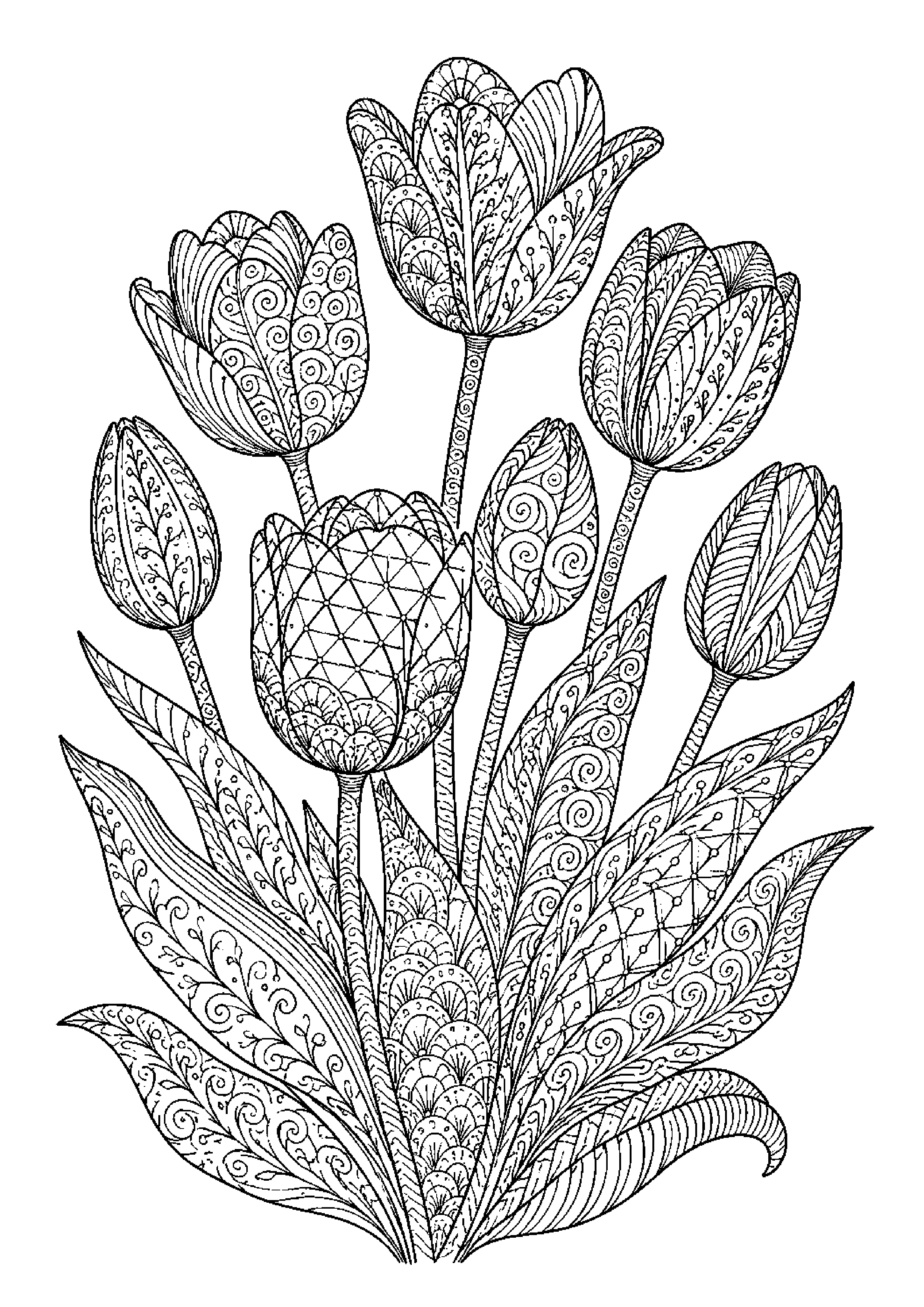 Coloriage zentangle floral à imprimer – dessin n°5