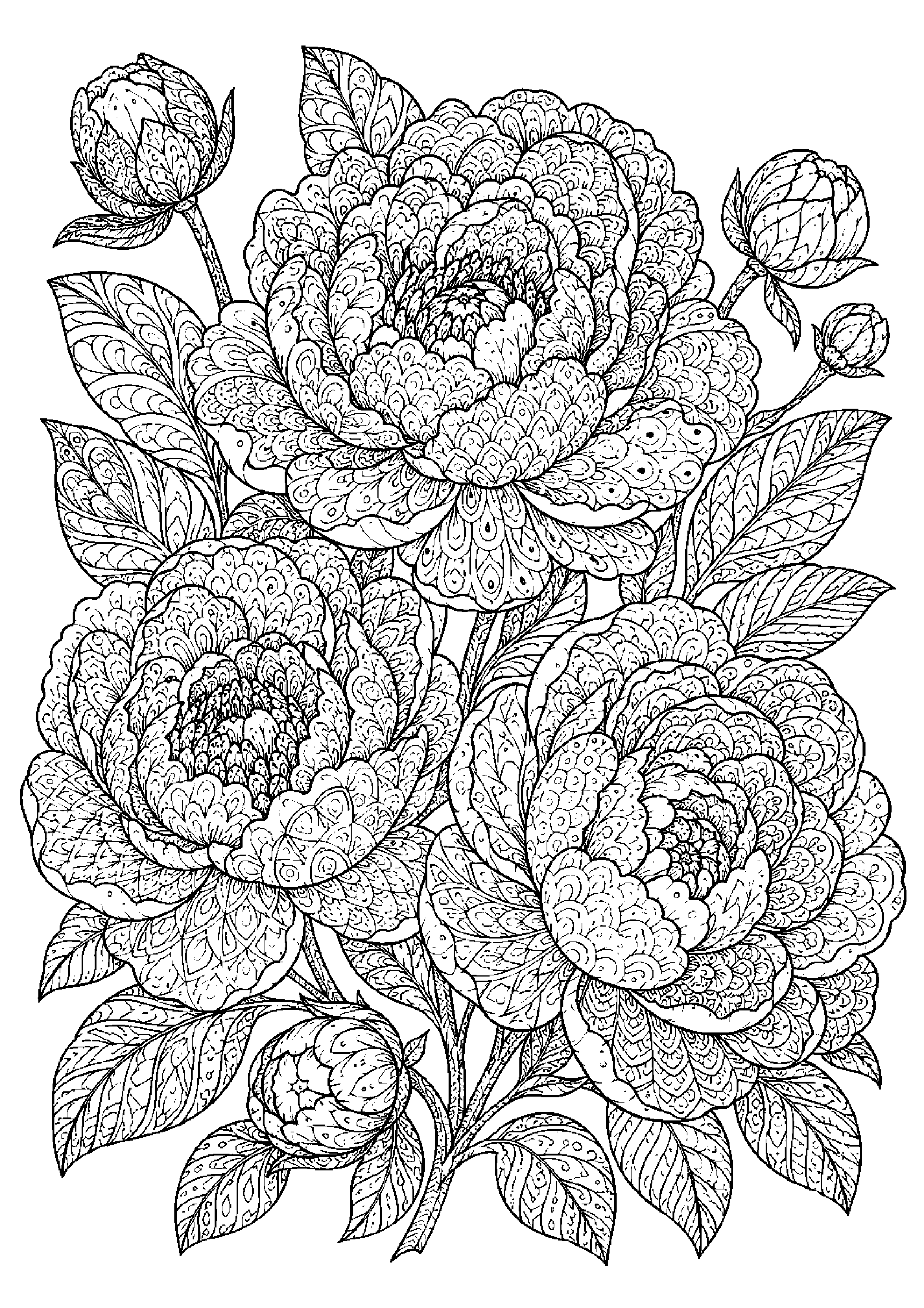 Coloriage zentangle floral à imprimer – dessin n°7