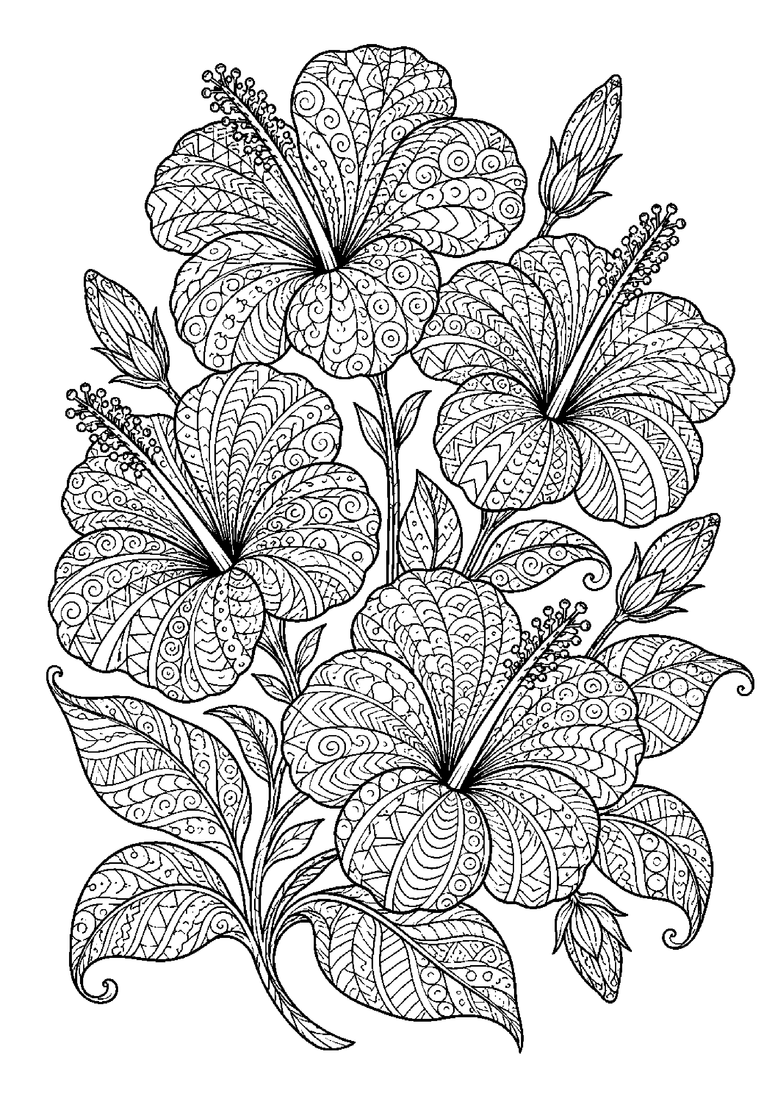 Coloriage zentangle floral à imprimer – dessin n°8