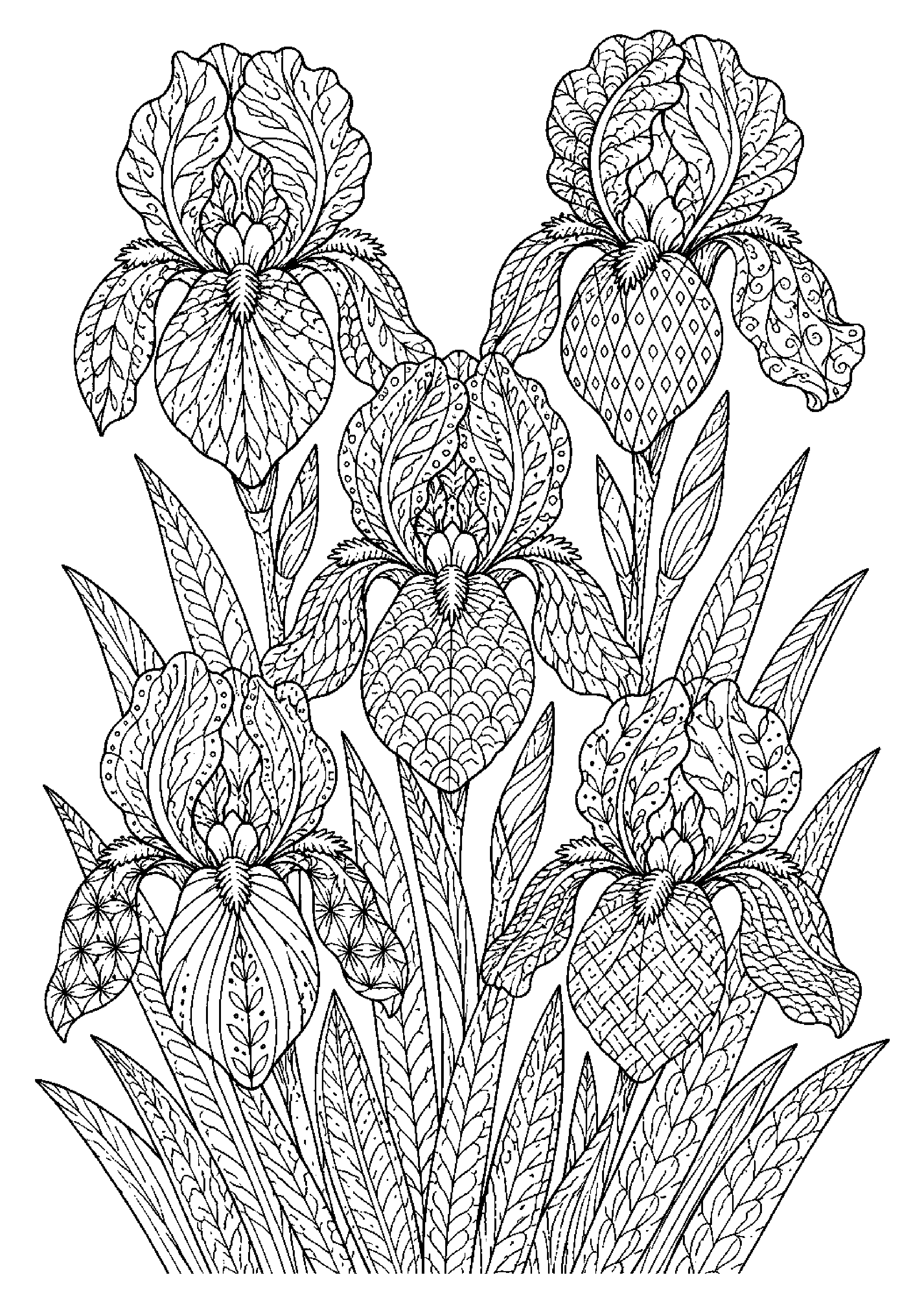 Coloriage zentangle floral à imprimer – dessin n°9