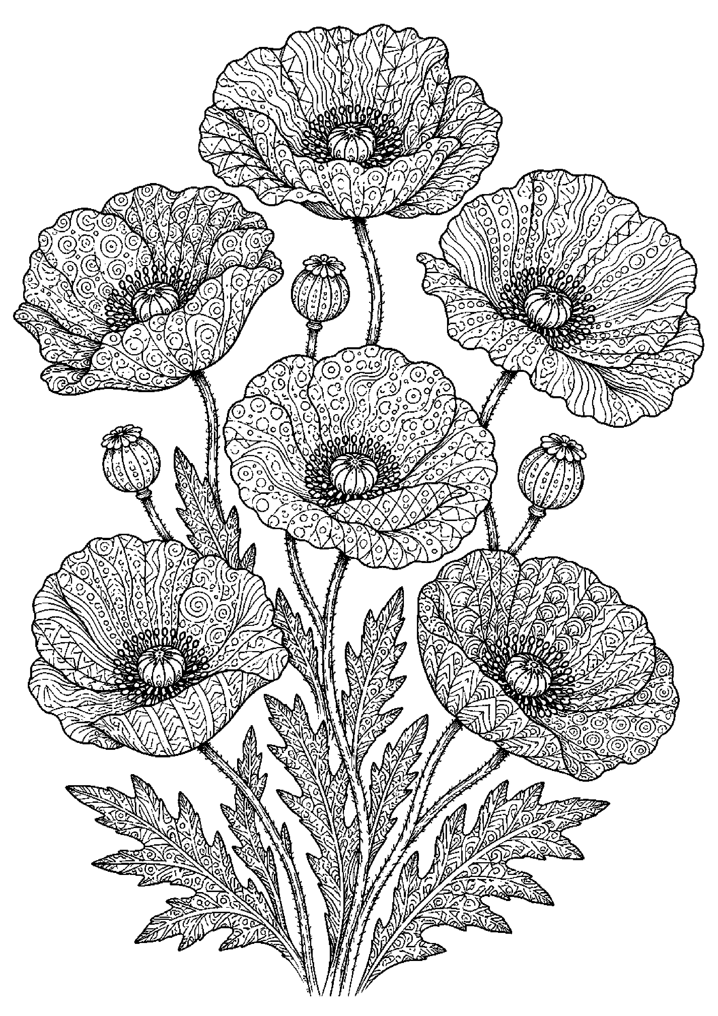 Coloriage zentangle floral à imprimer – dessin n°11