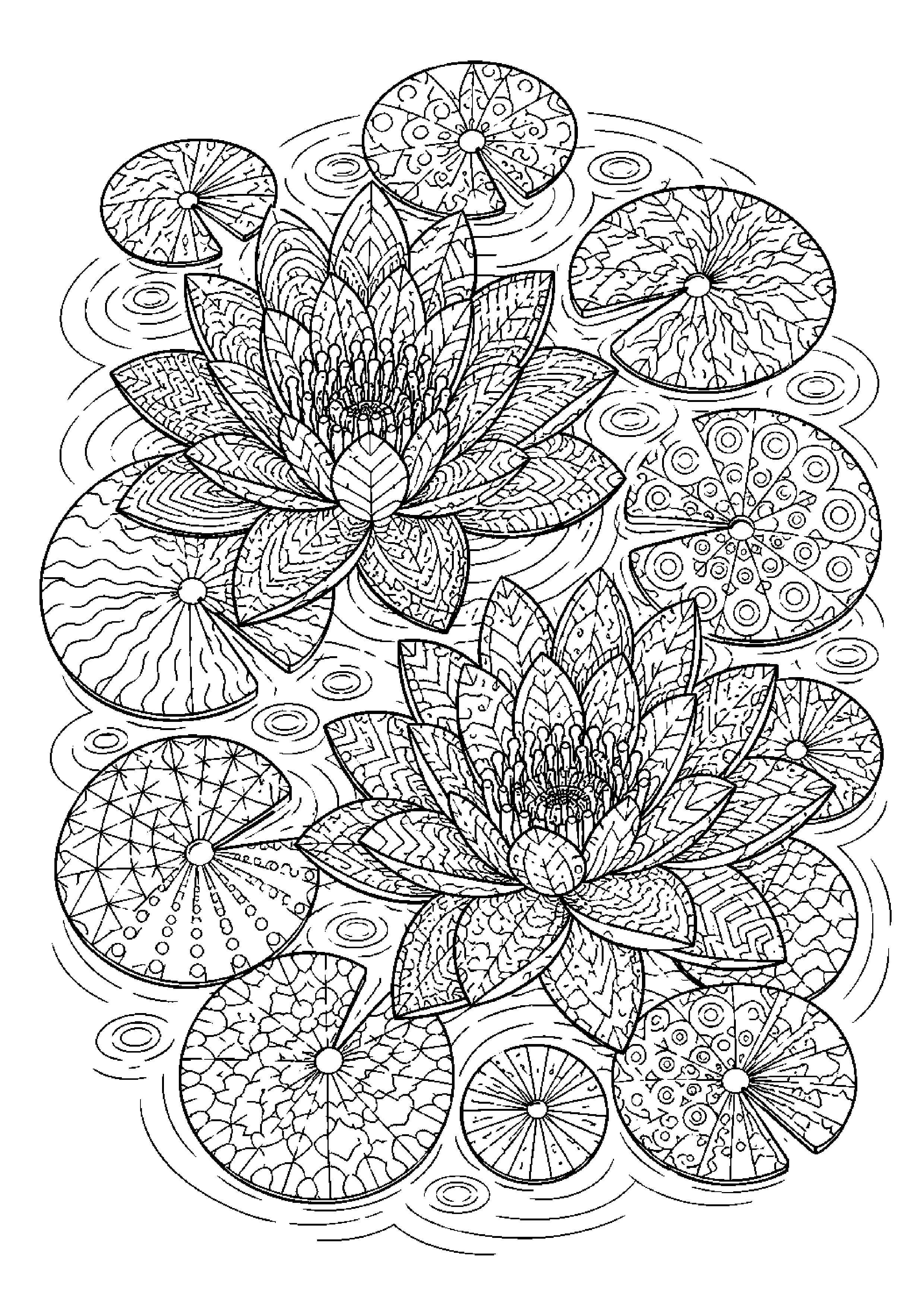 Coloriage zentangle floral à imprimer – dessin n°12